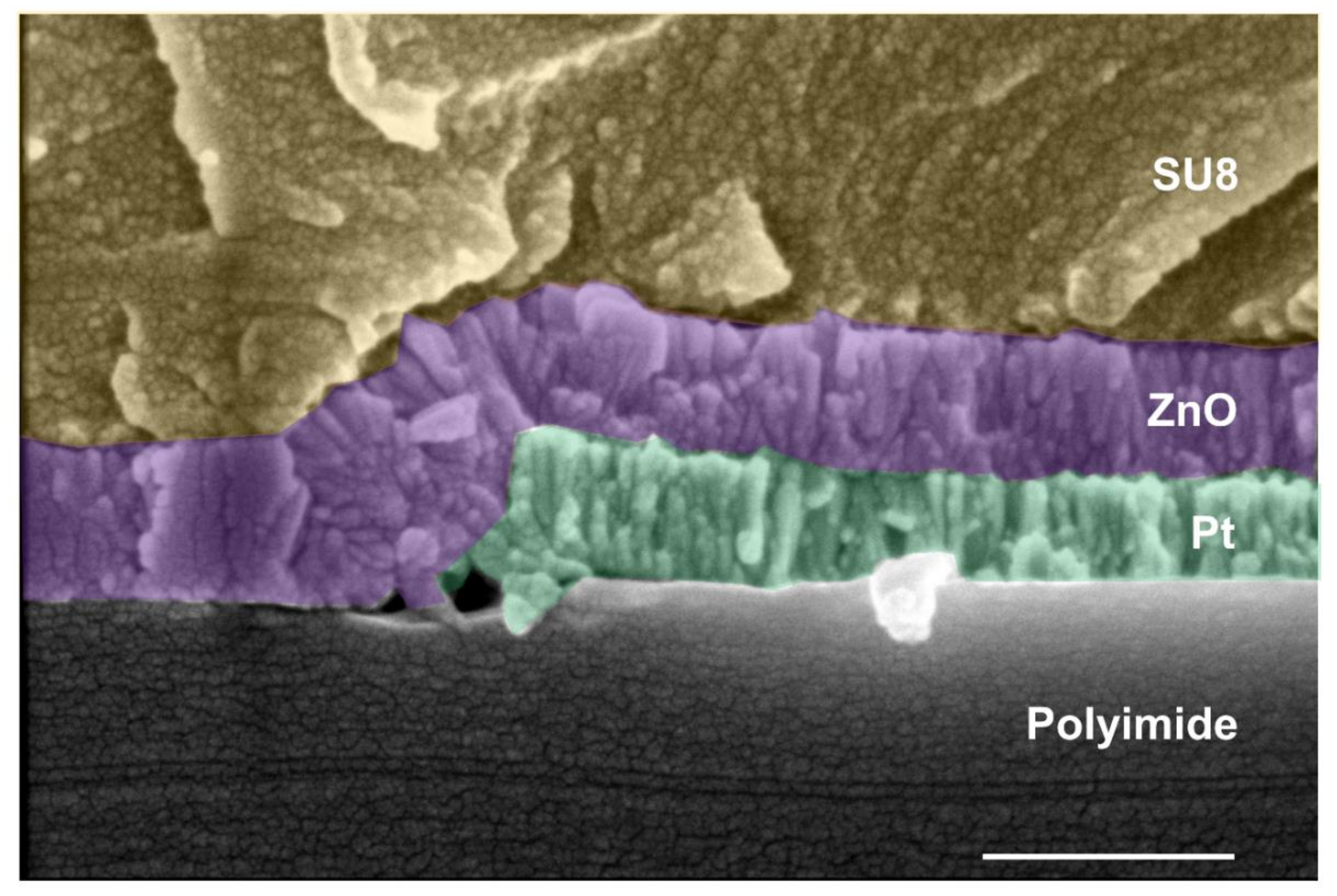 Sensors 21 02253 g008 Sensors 21 02253 g008