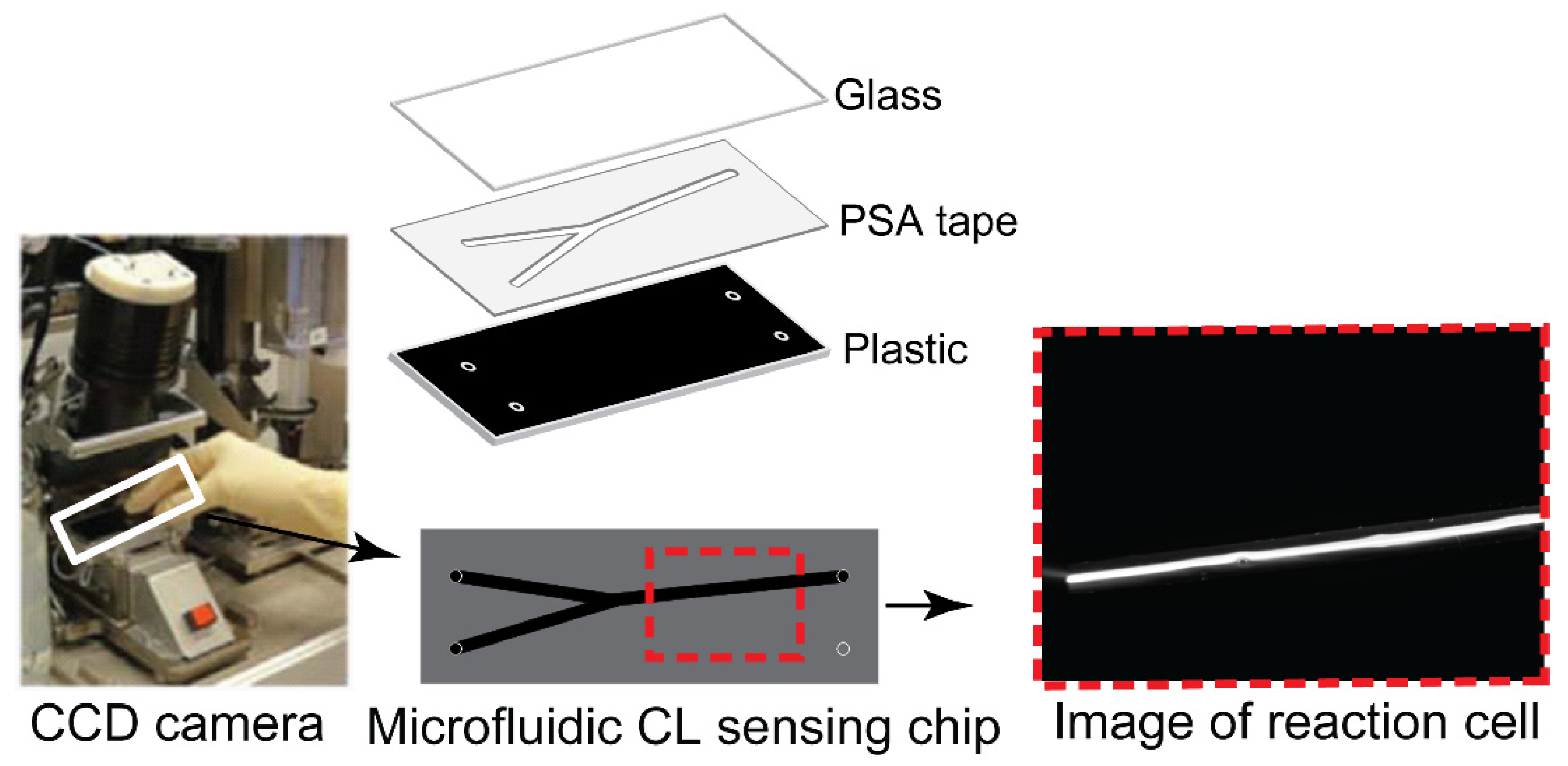 Sensors 21 02290 g002 Sensors 21 02290 g002