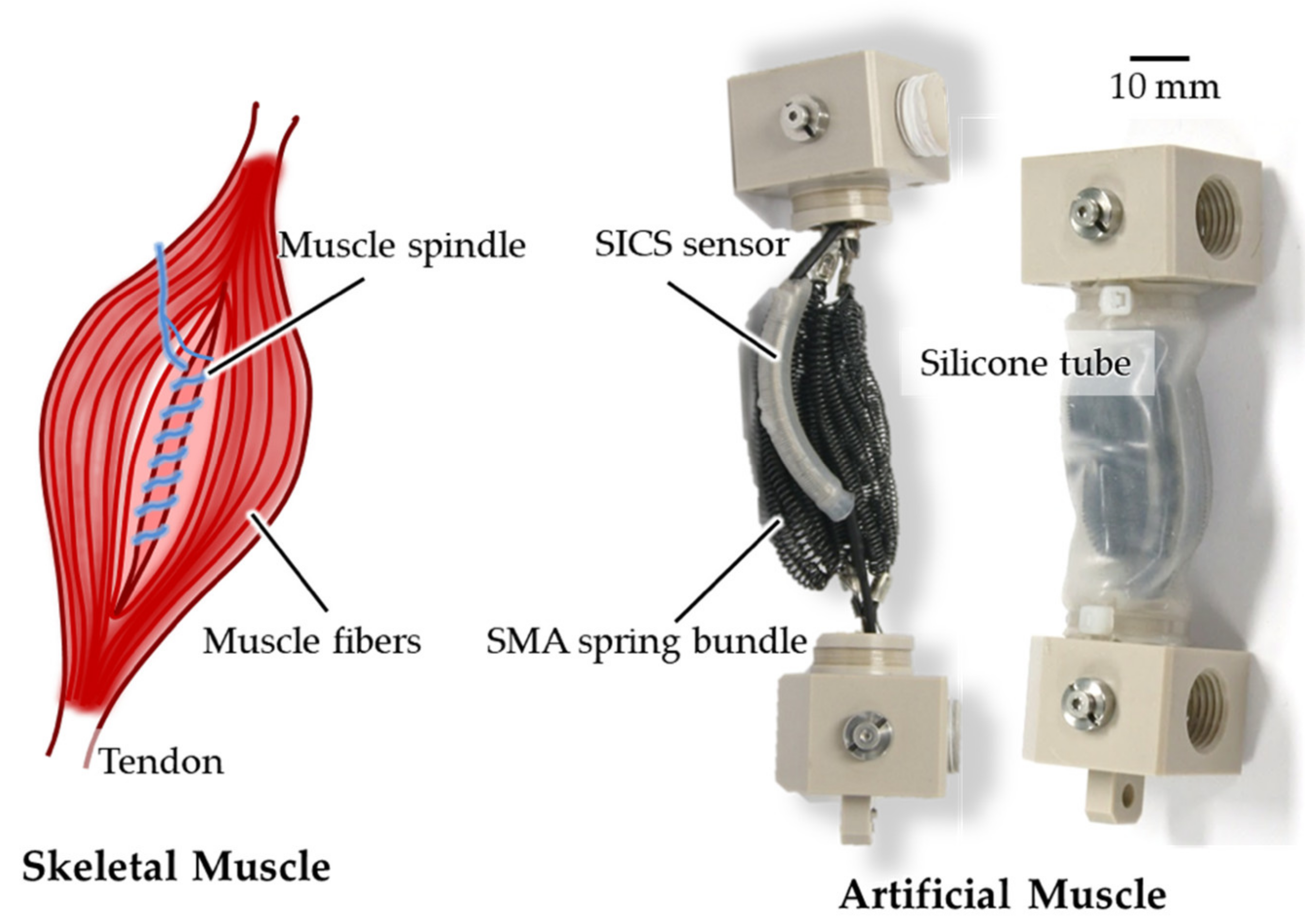 Sensors 21 02304 g001