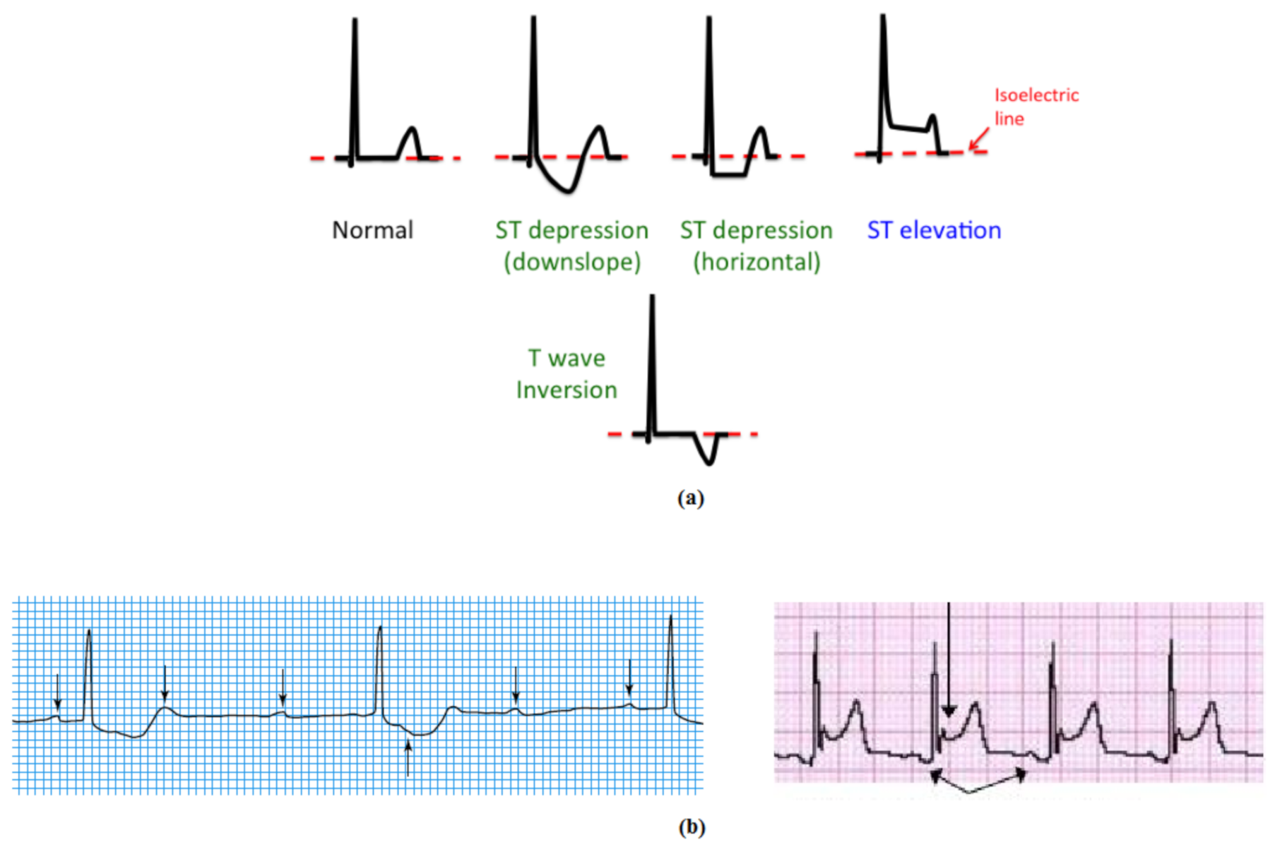 Sensors 21 02311 g001