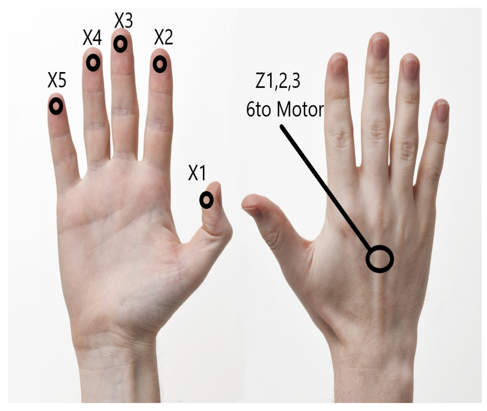 Sensors 21 02325 g004