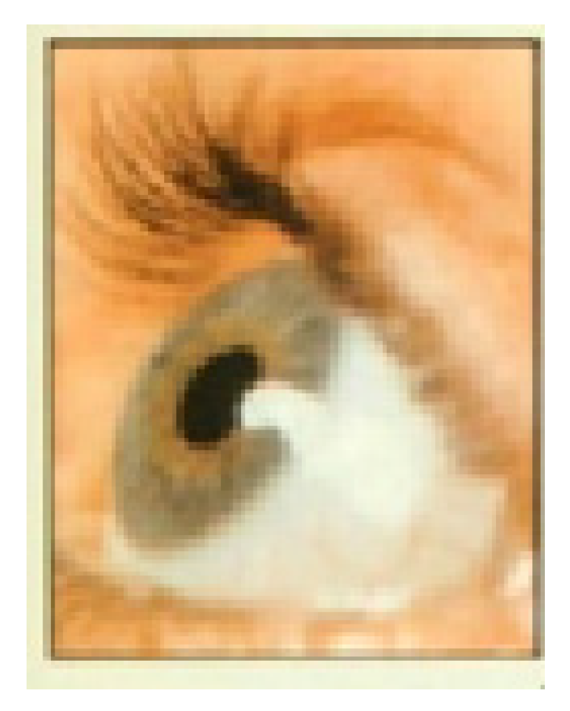 Sensors 21 02326 g001 Sensors 21 02326 g001