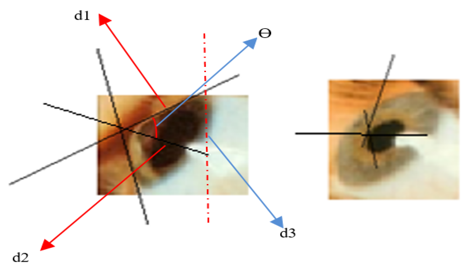 Sensors 21 02326 g009 Sensors 21 02326 g009