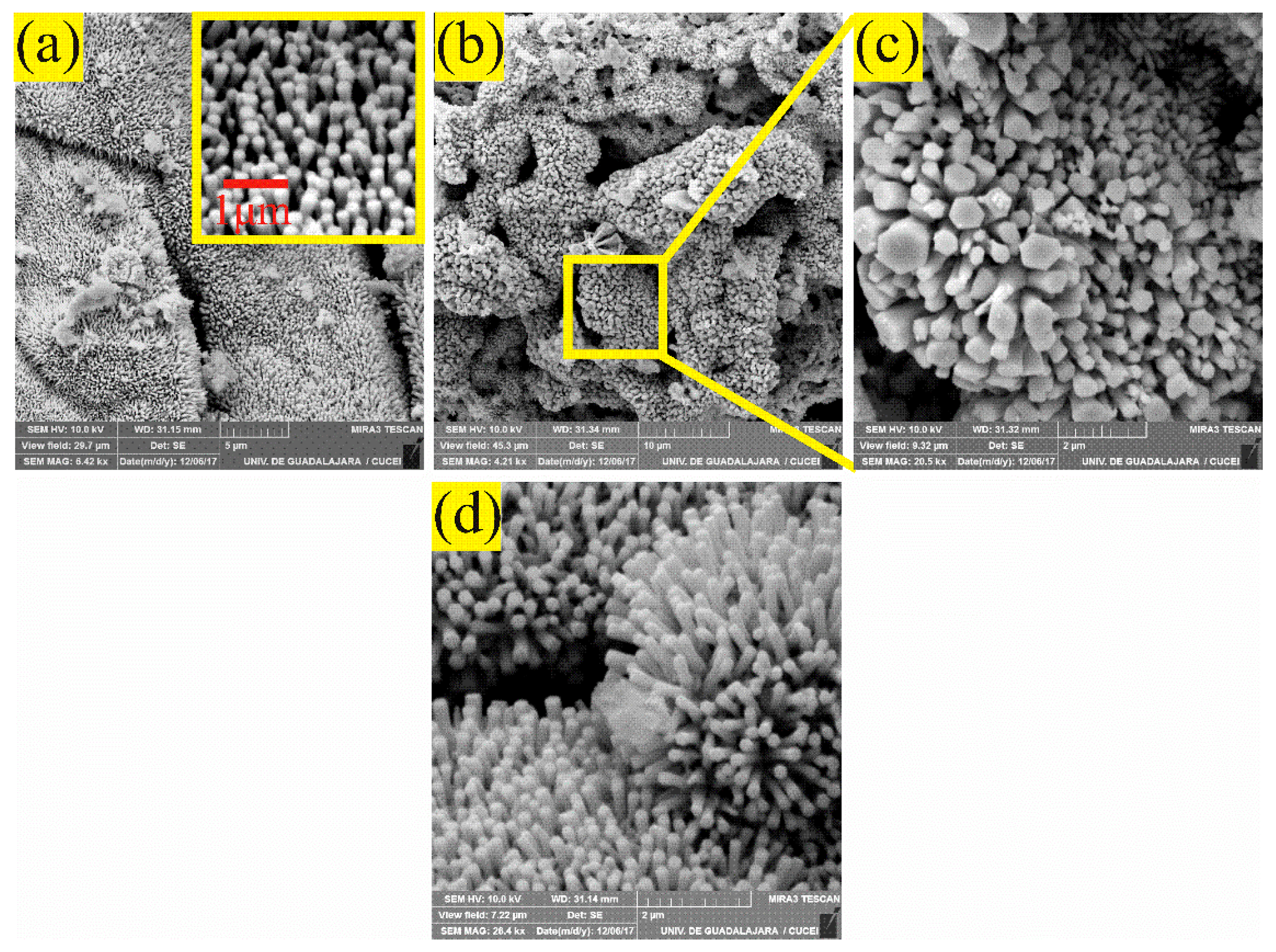 Sensors 21 02362 g005
