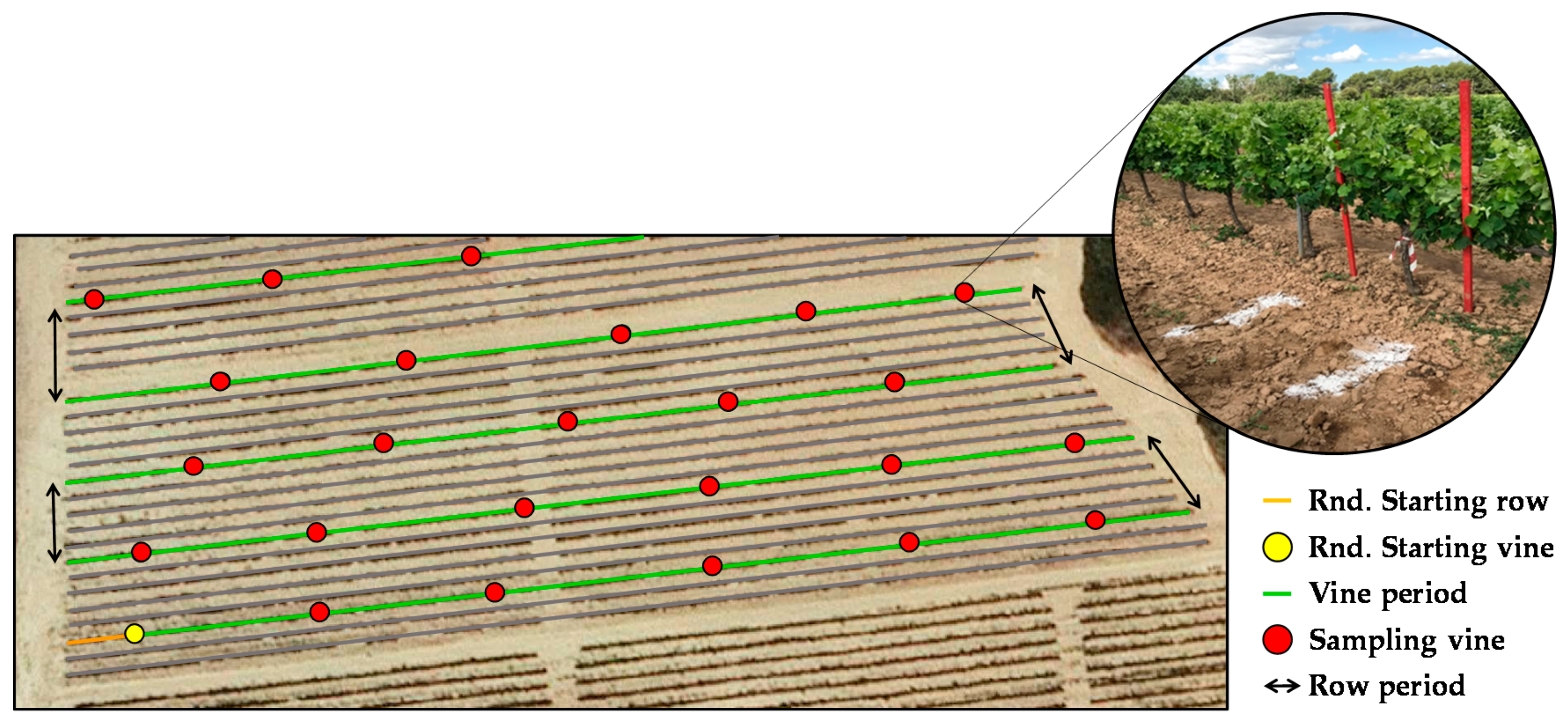 Sensors 21 02363 g002