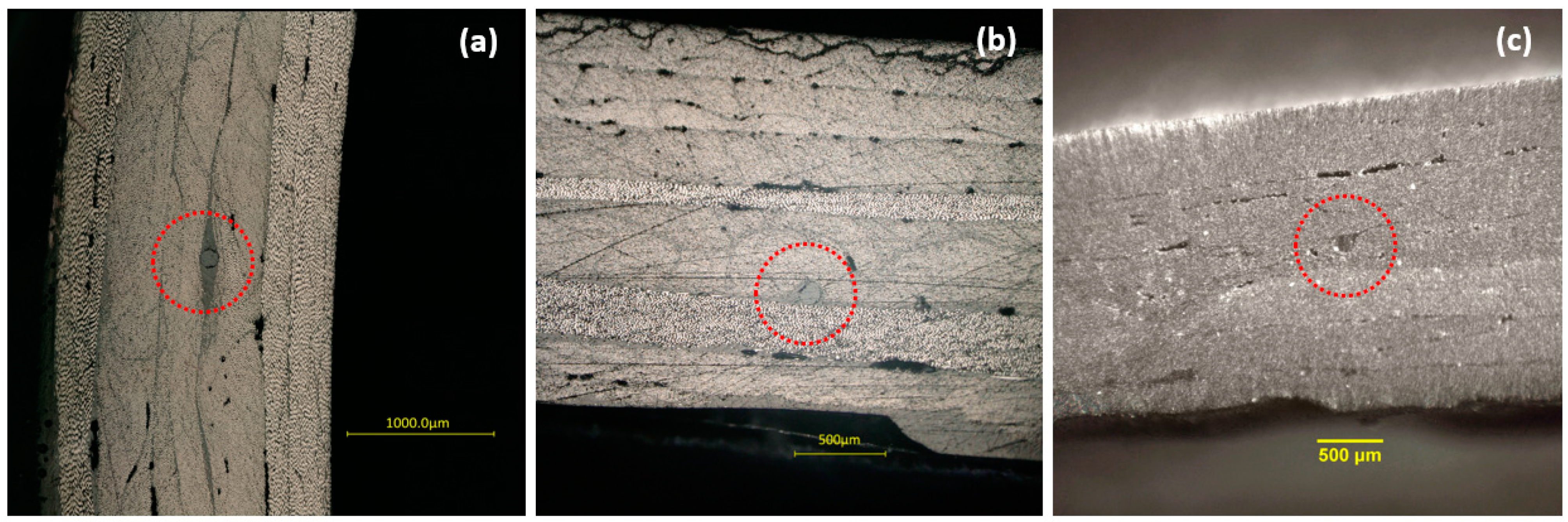 Sensors 21 02403 g005 Sensors 21 02403 g005
