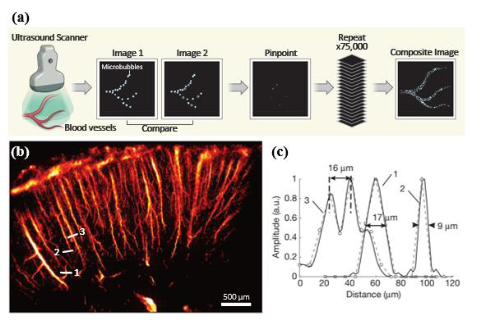 Sensors 21 02417 g001