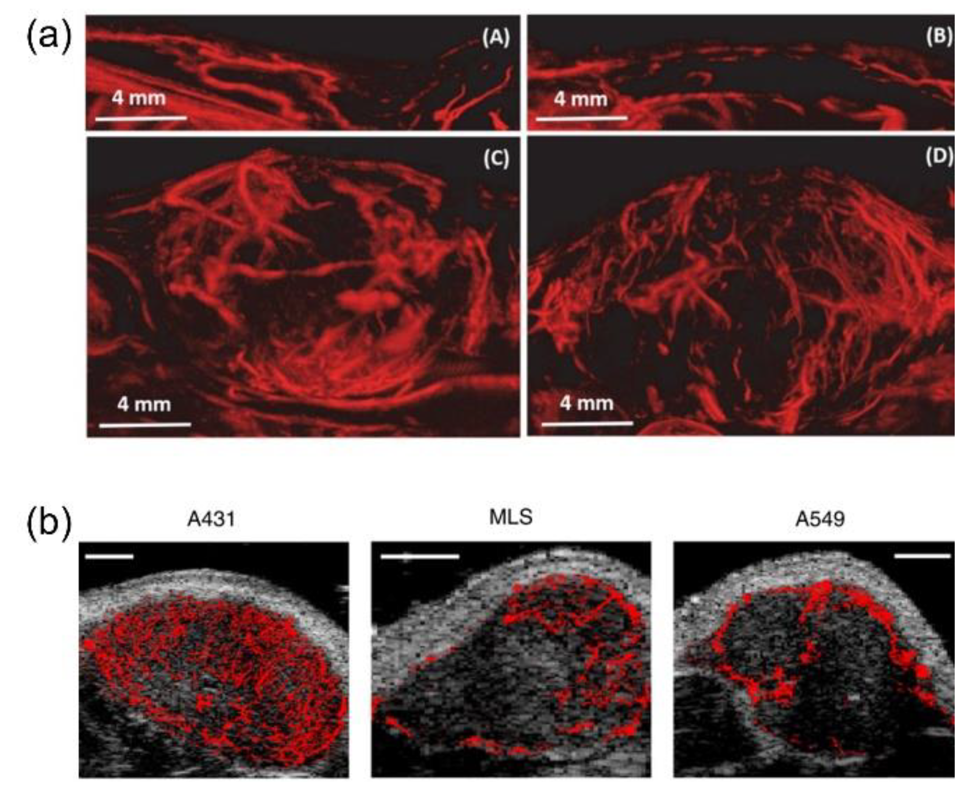 Sensors 21 02417 g005