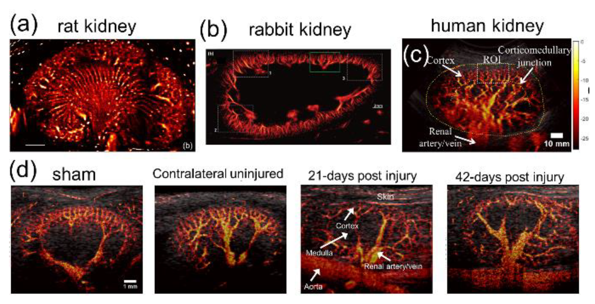 Sensors 21 02417 g007