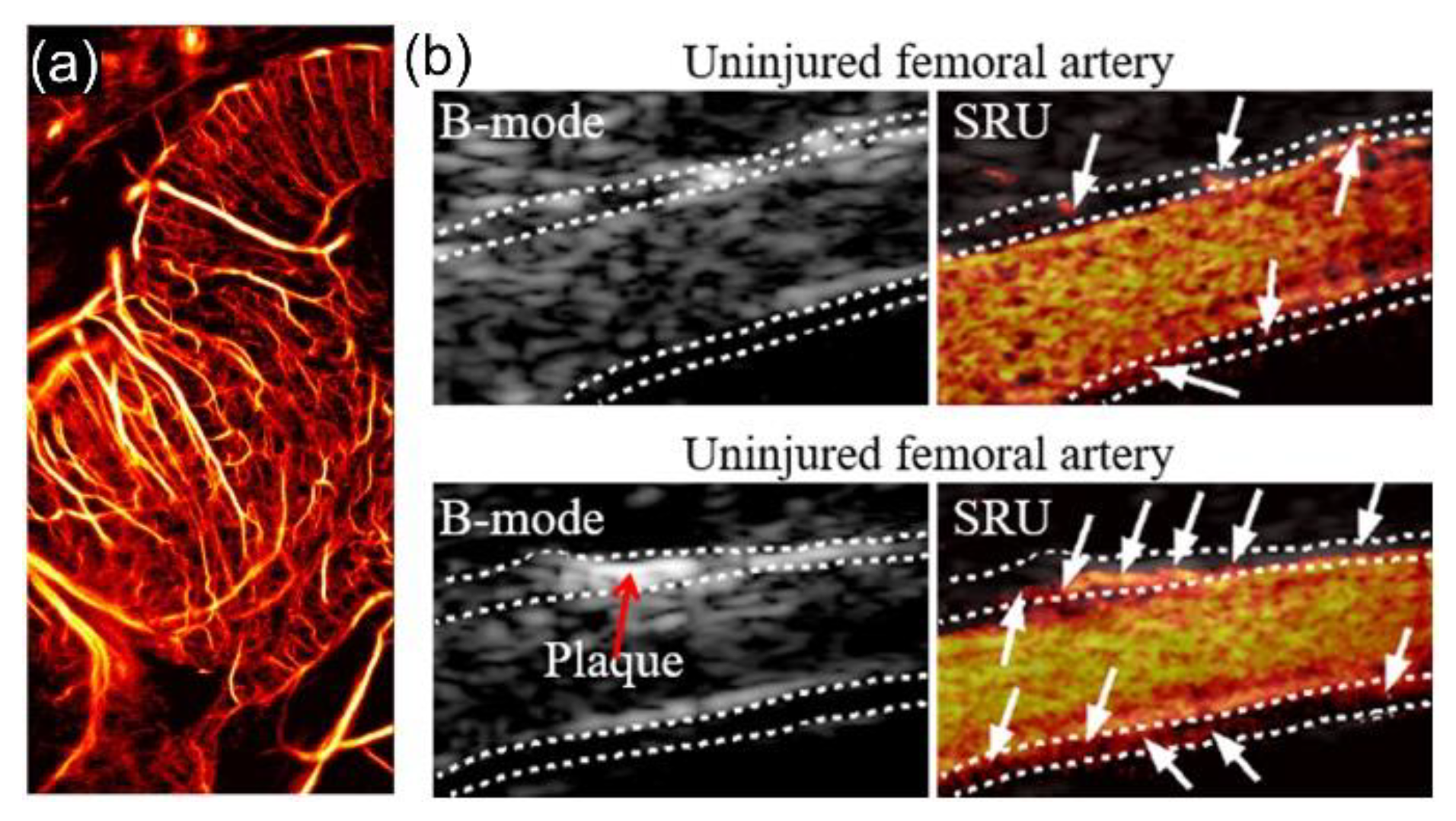 Sensors 21 02417 g008
