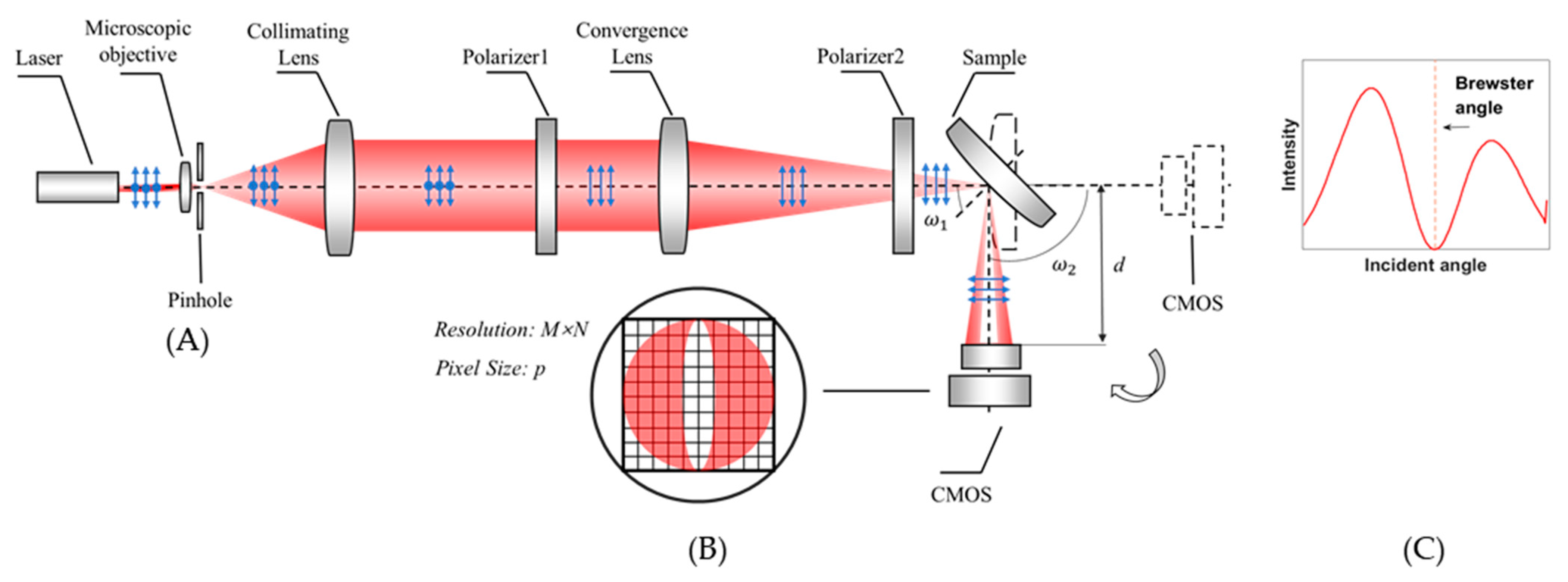 Sensors 21 02421 g002