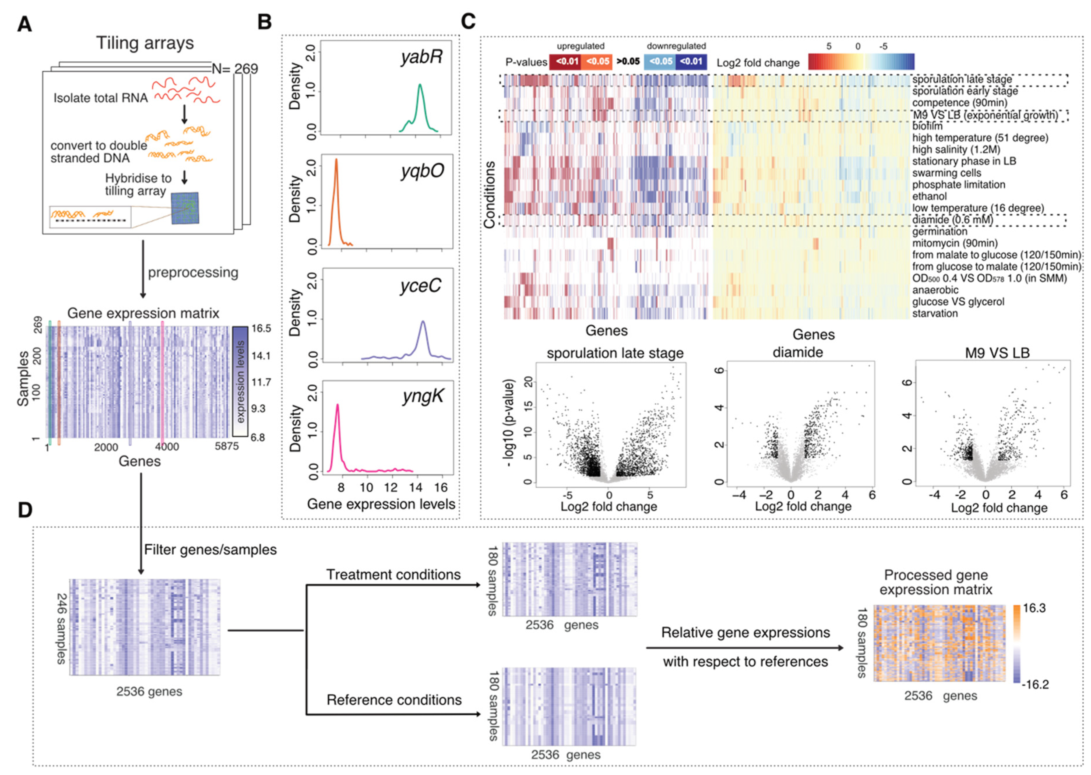 Sensors 21 02436 g001