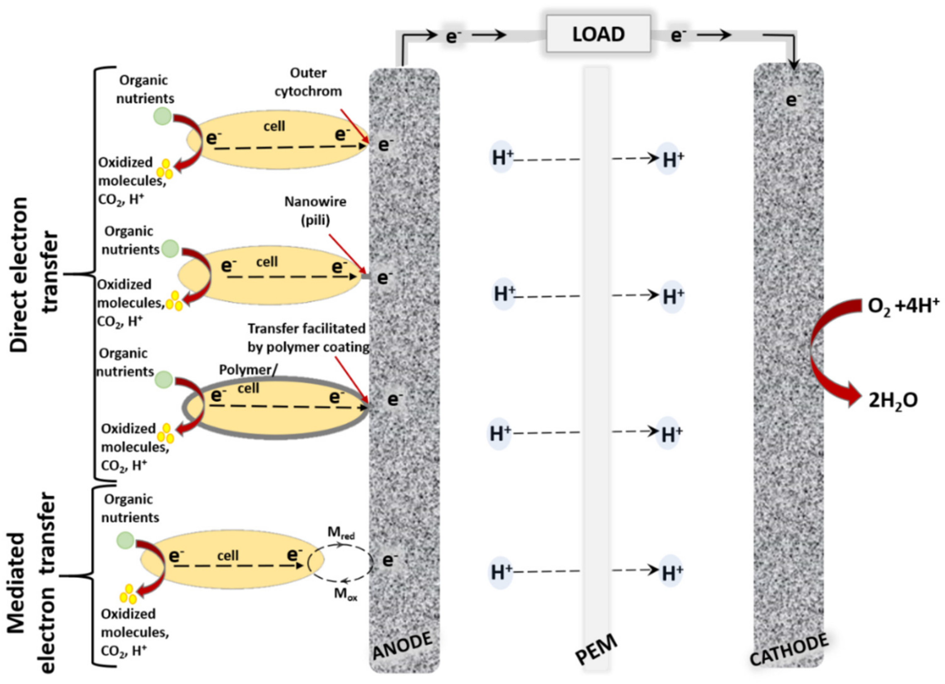 Sensors 21 02442 g001