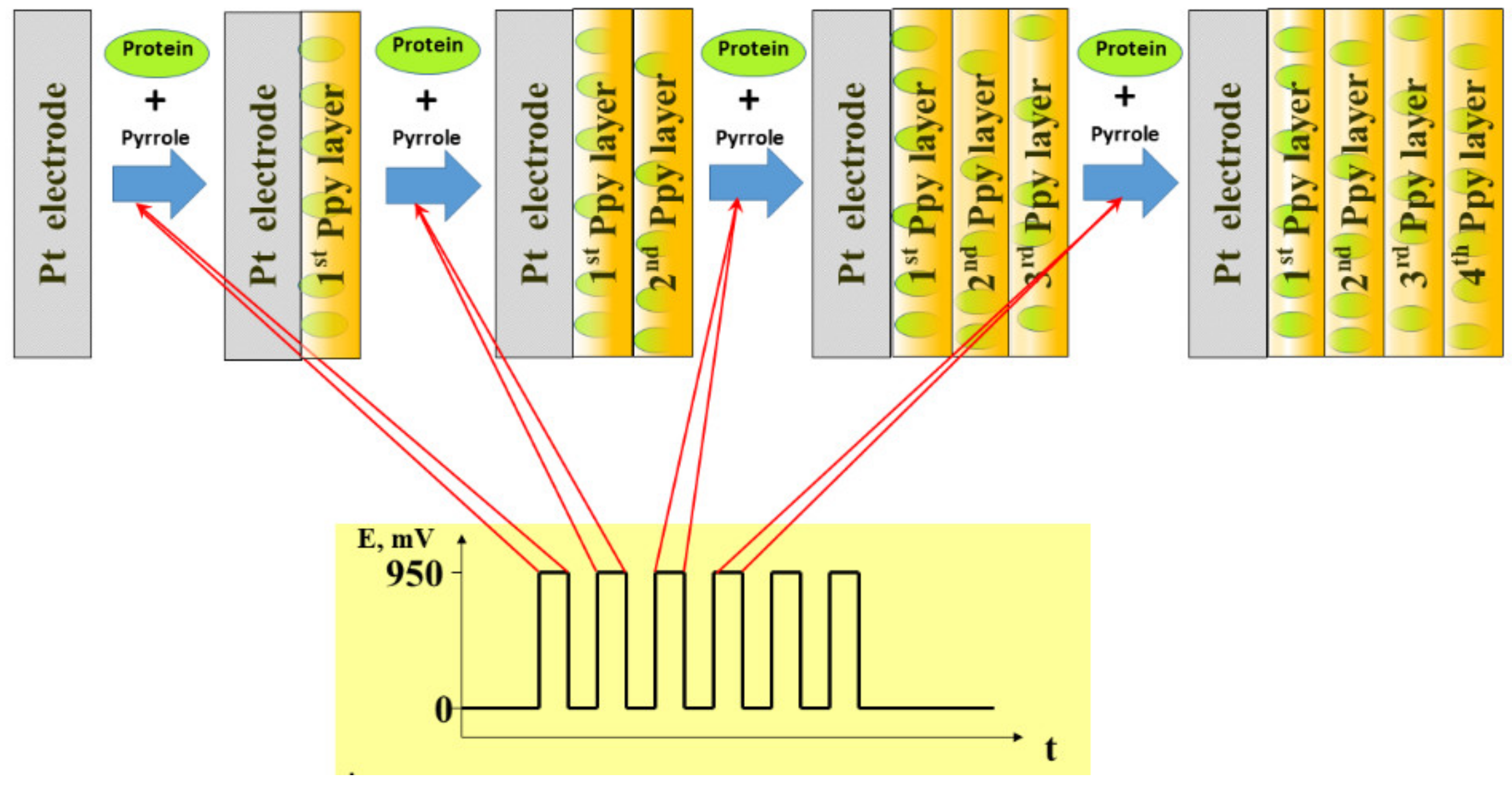 Sensors 21 02442 g002