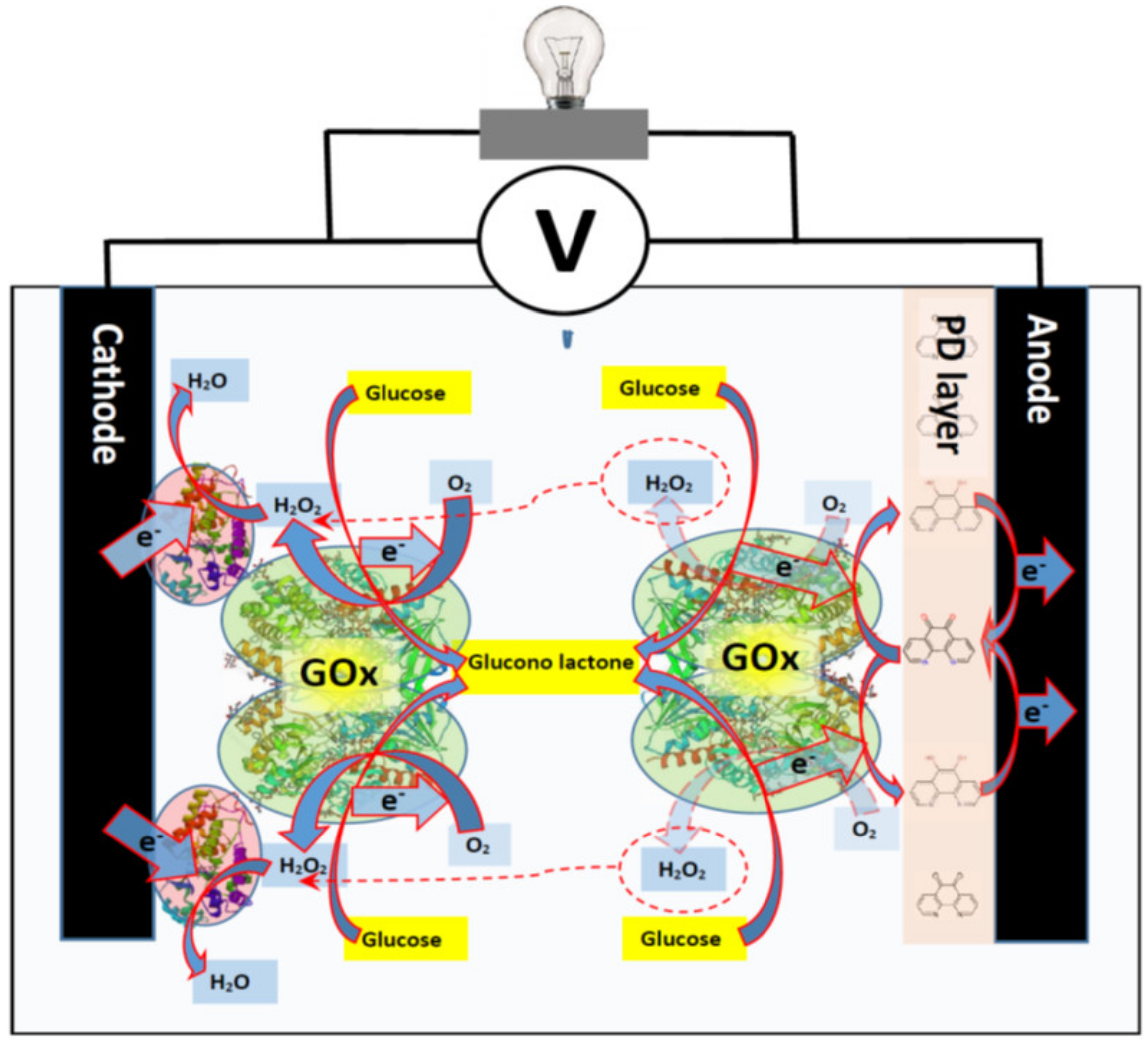 Sensors 21 02442 g004