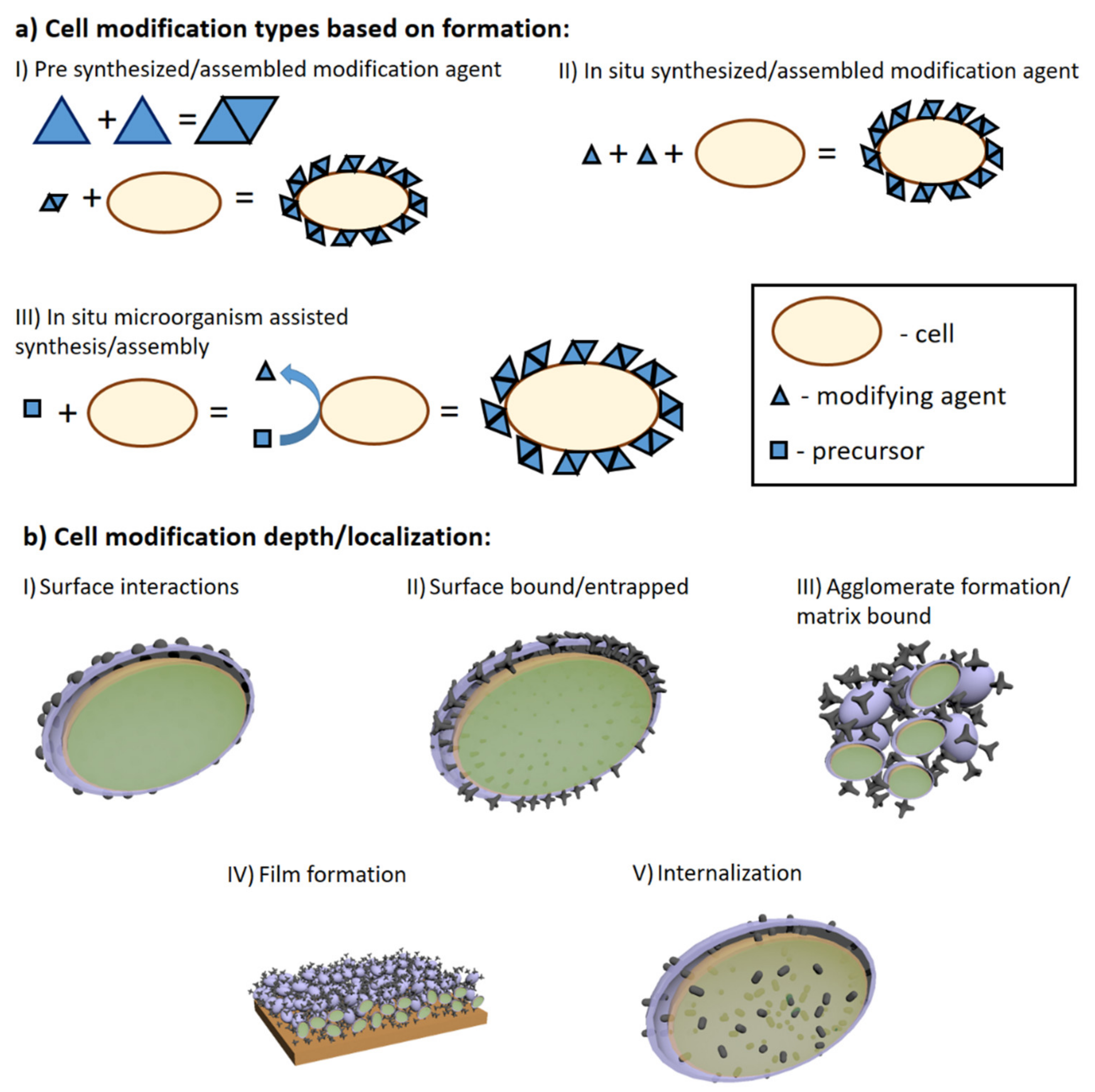 Sensors 21 02442 g006