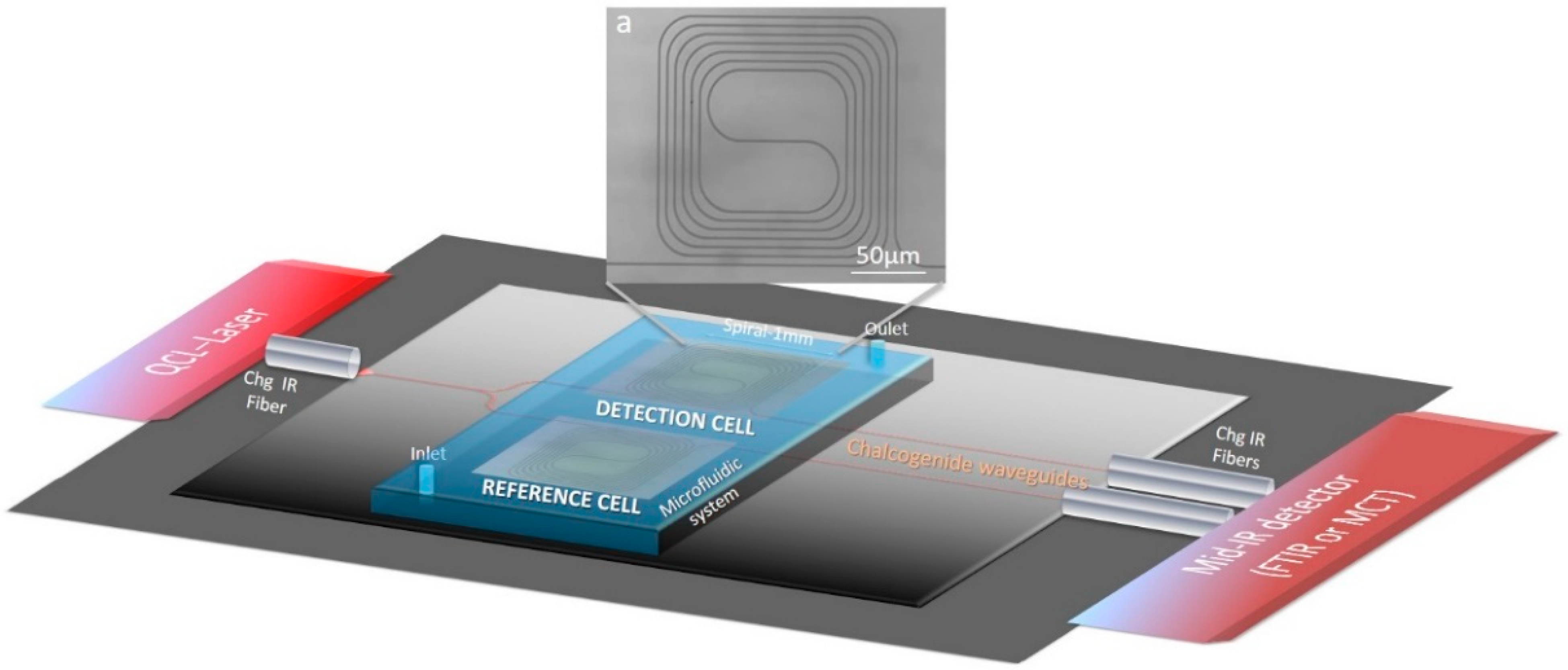 Sensors 21 02449 g001