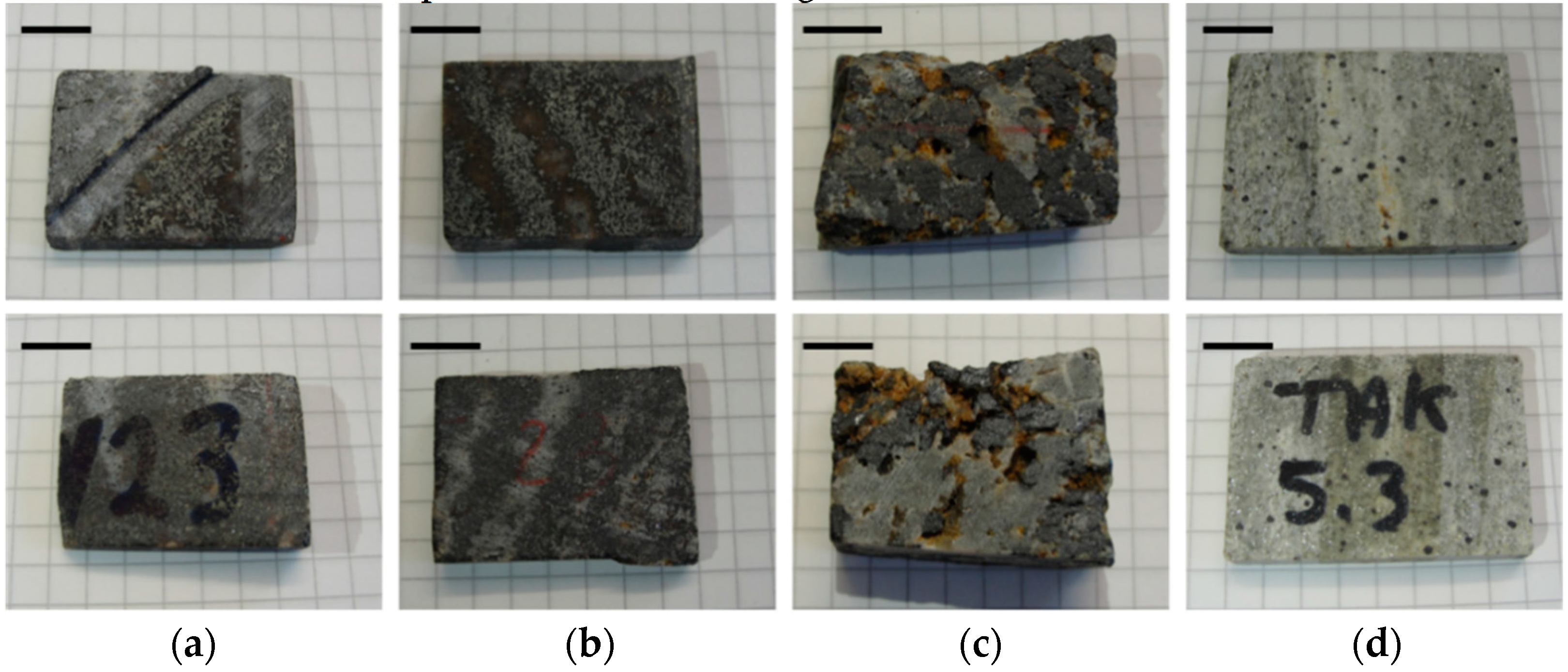 Sensors 21 02455 g001 Sensors 21 02455 g001