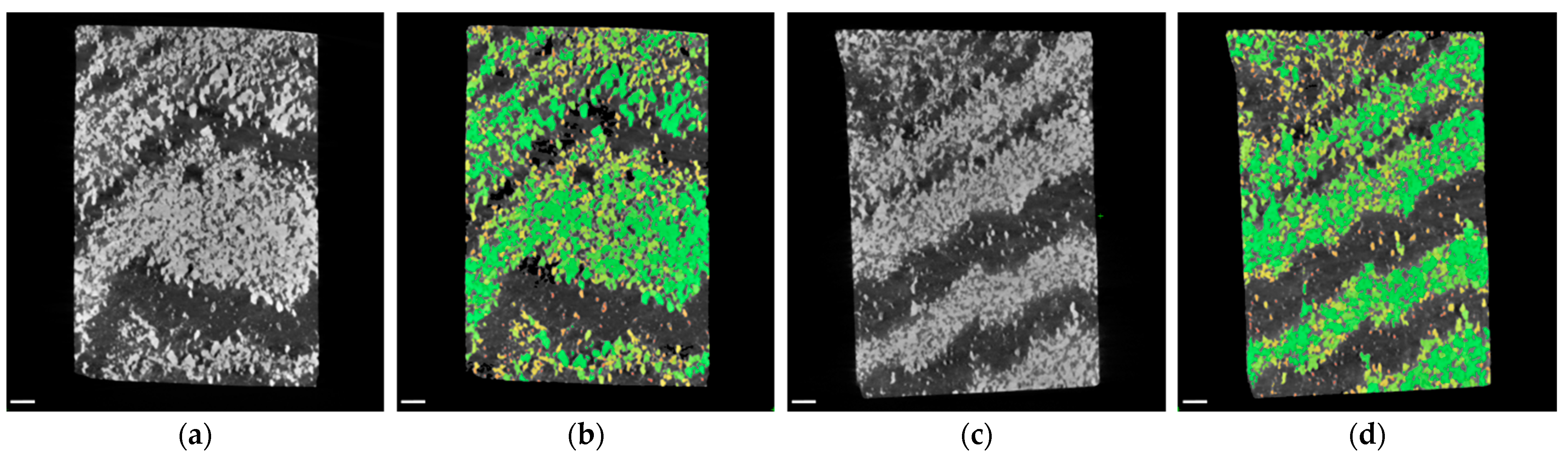 Sensors 21 02455 g007 Sensors 21 02455 g007