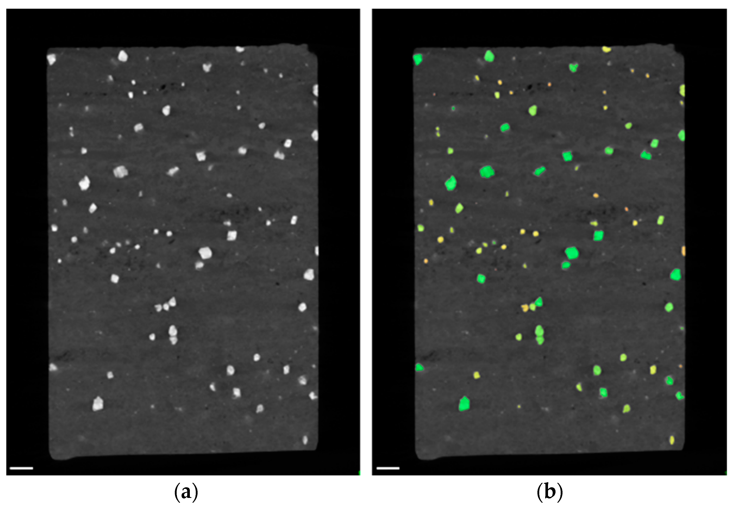Sensors 21 02455 g014 Sensors 21 02455 g014