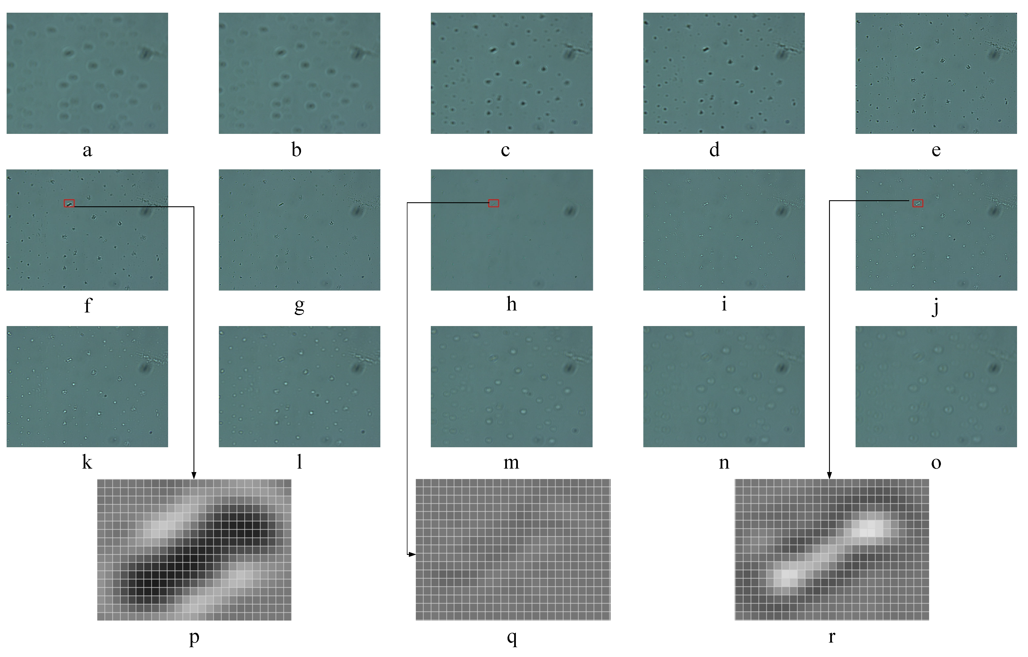 Sensors 21 02487 g003 Sensors 21 02487 g003
