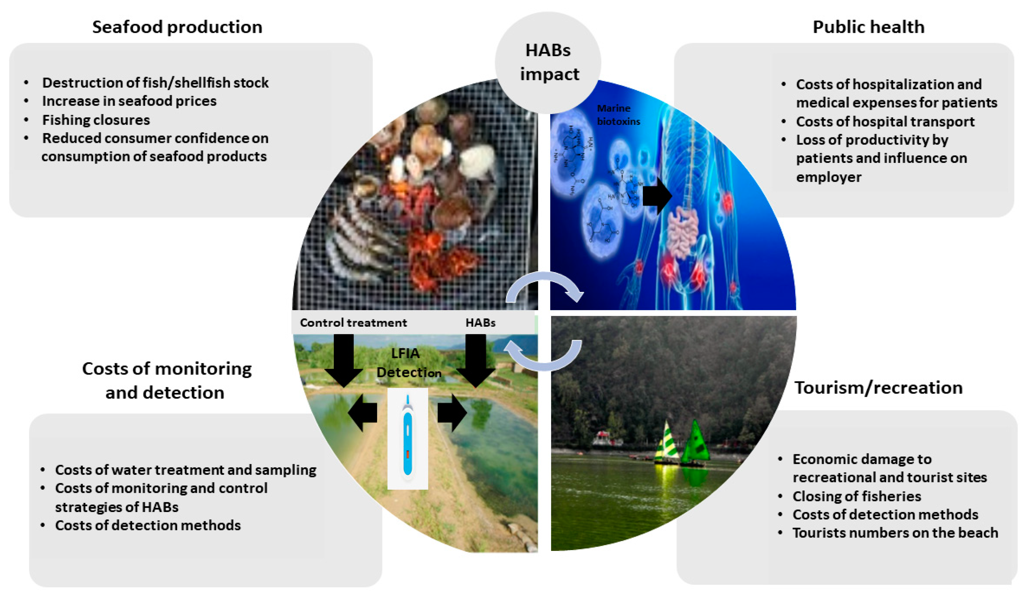 Sensors 21 02499 g001