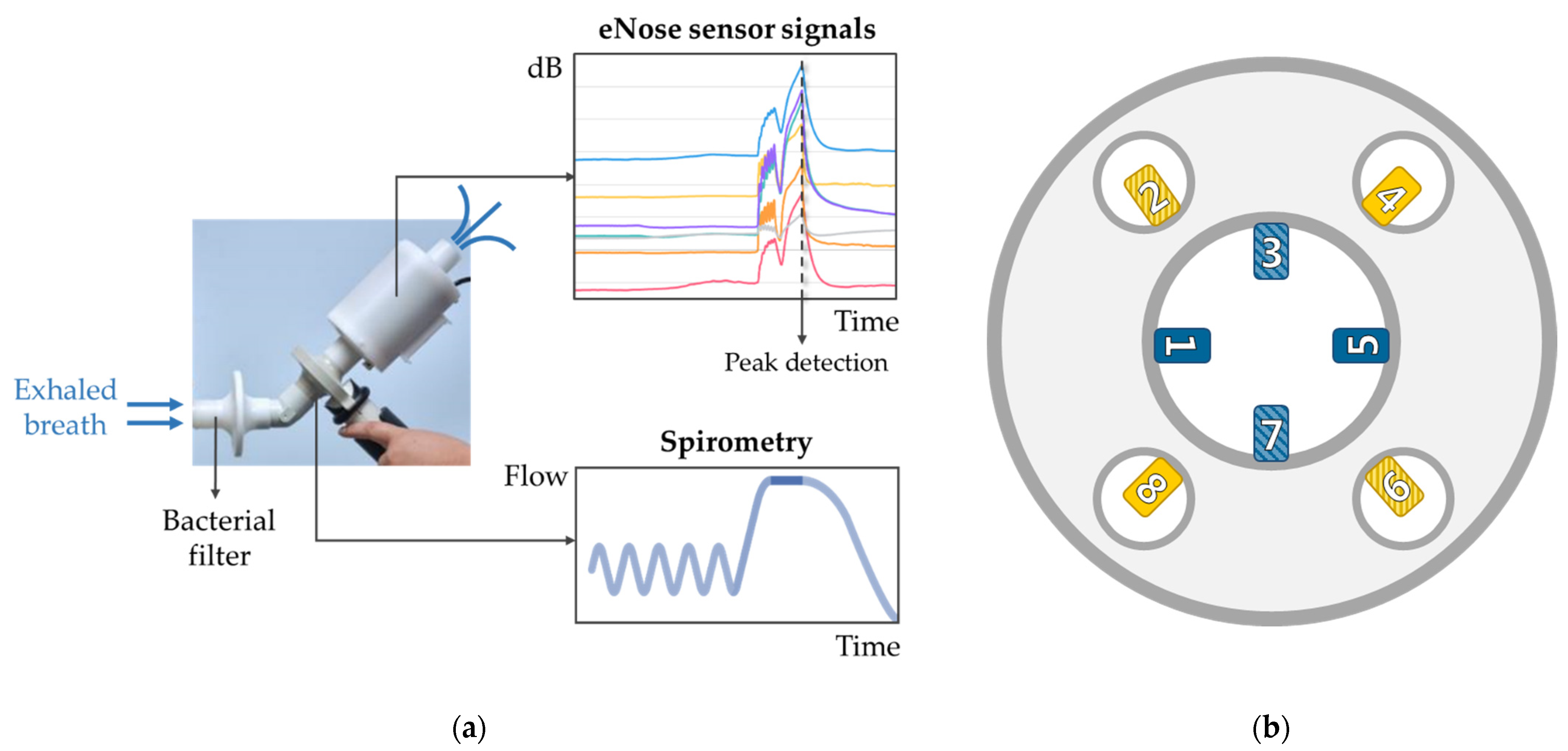 Sensors 21 02518 g001 Sensors 21 02518 g001