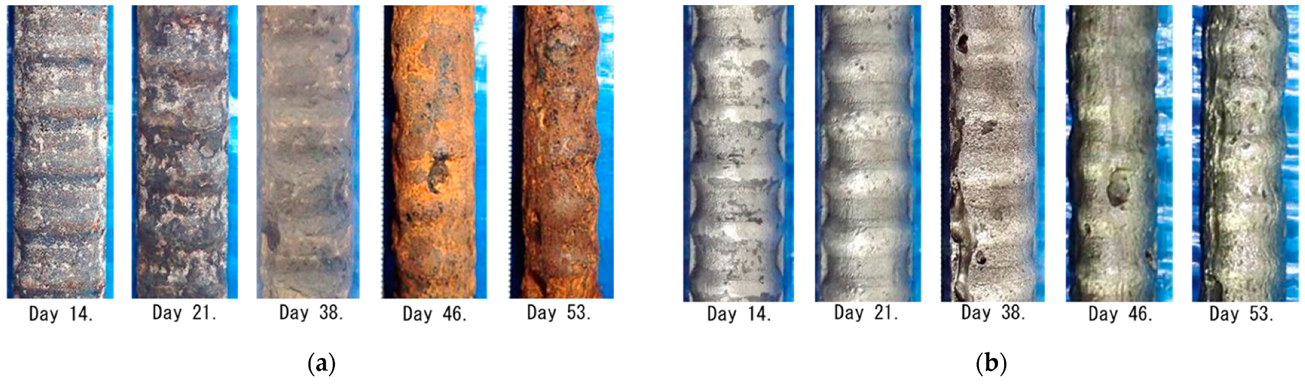 Sensors 21 02546 g011