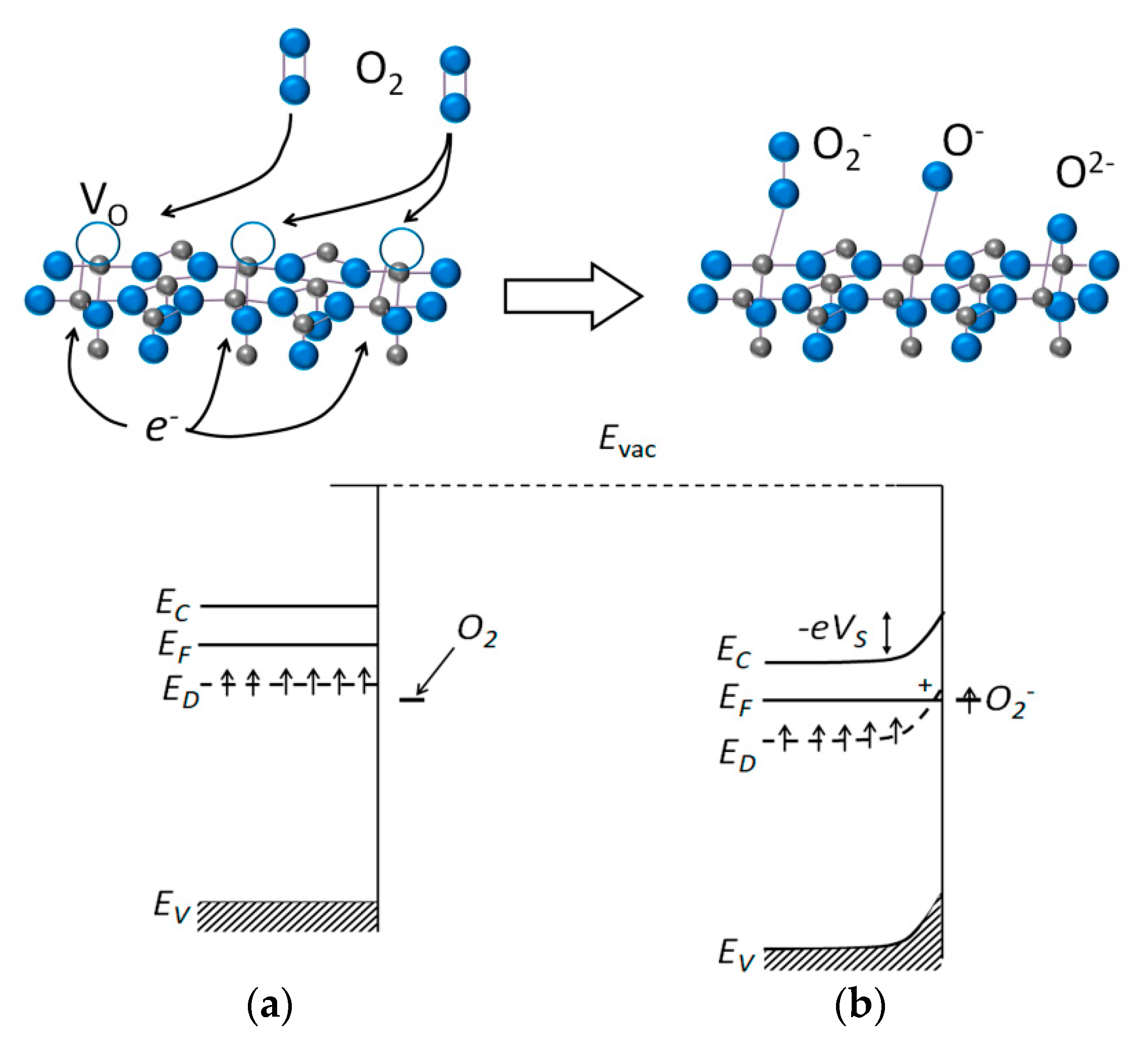 Sensors 21 02554 g001 Sensors 21 02554 g001