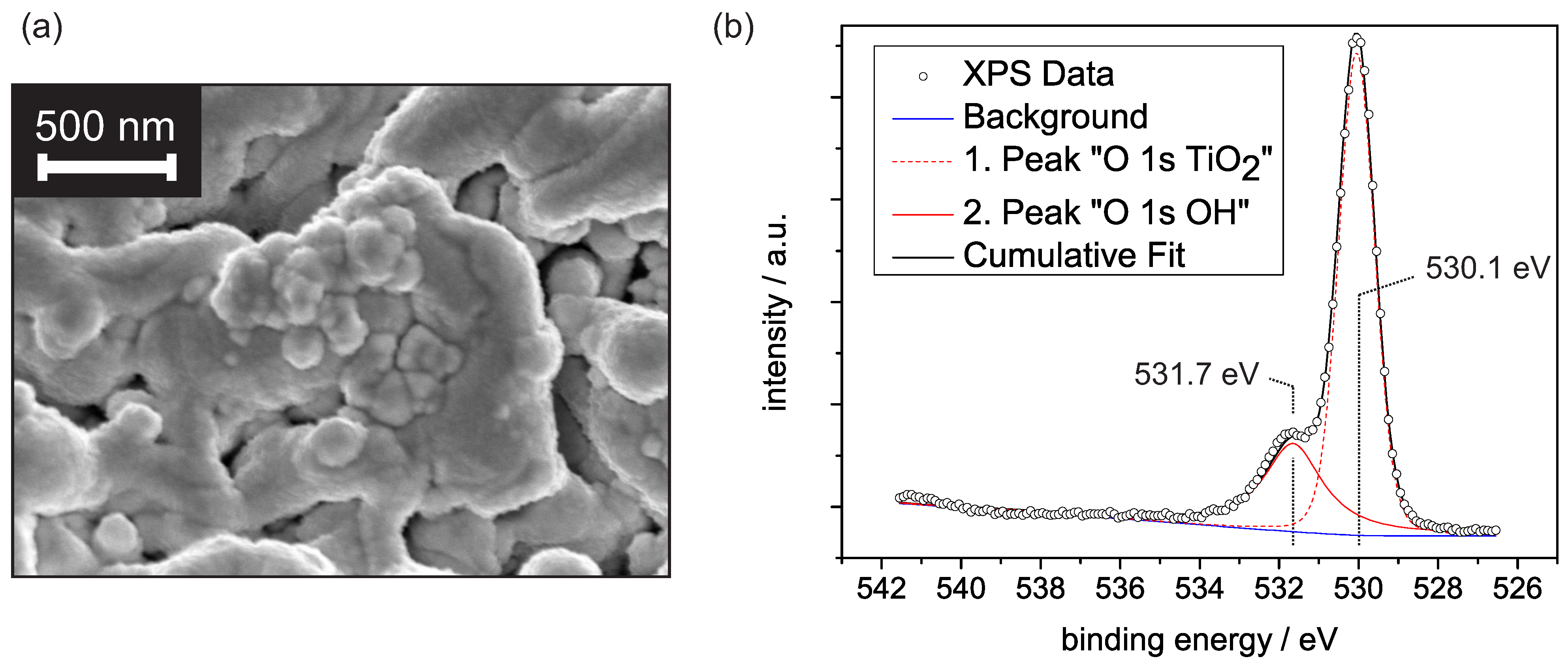 Sensors 21 02558 g001