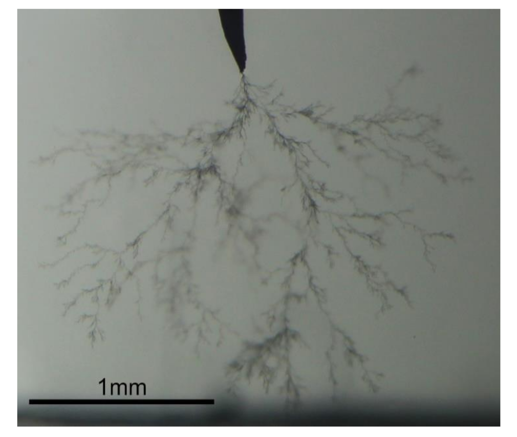 Sensors 21 02562 g003 Sensors 21 02562 g003