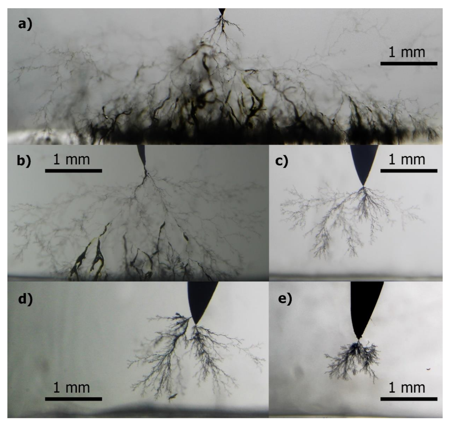 Sensors 21 02562 g004 Sensors 21 02562 g004