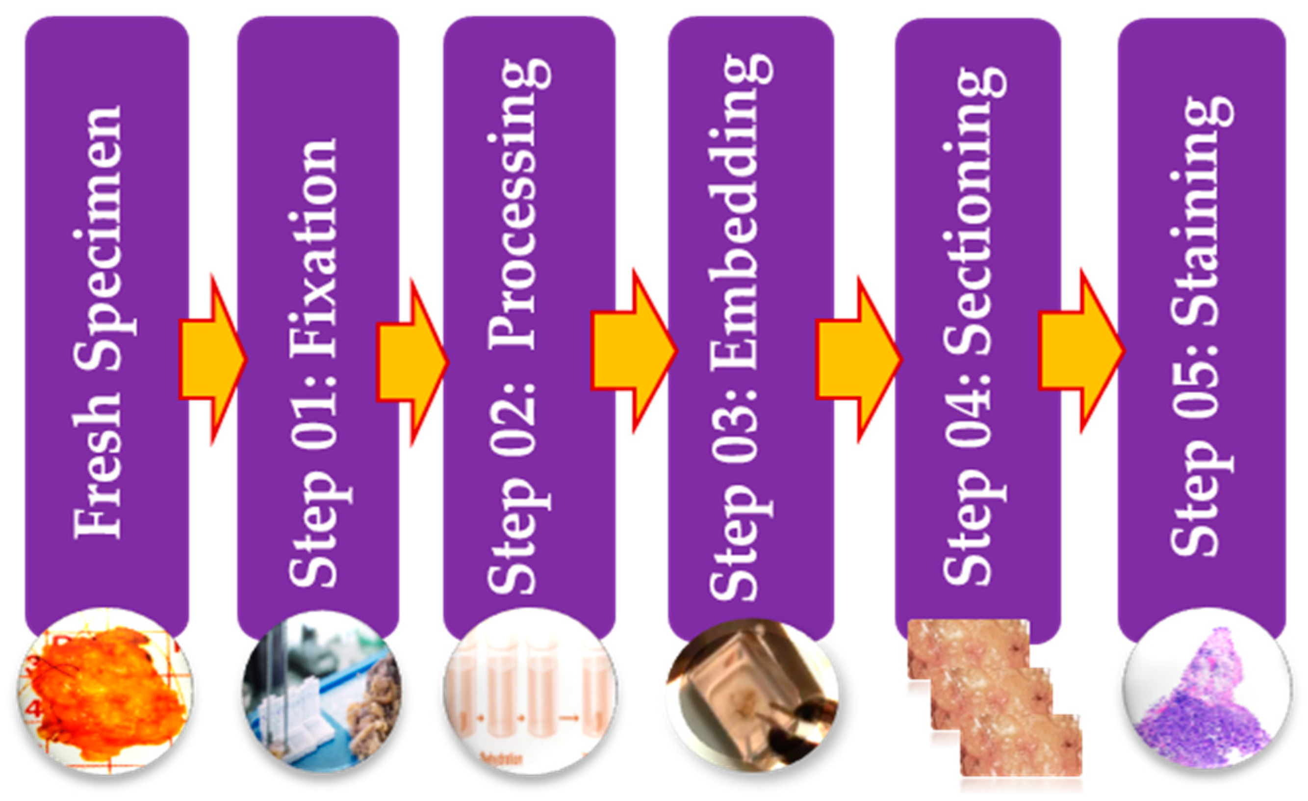 Sensors 21 02586 g003