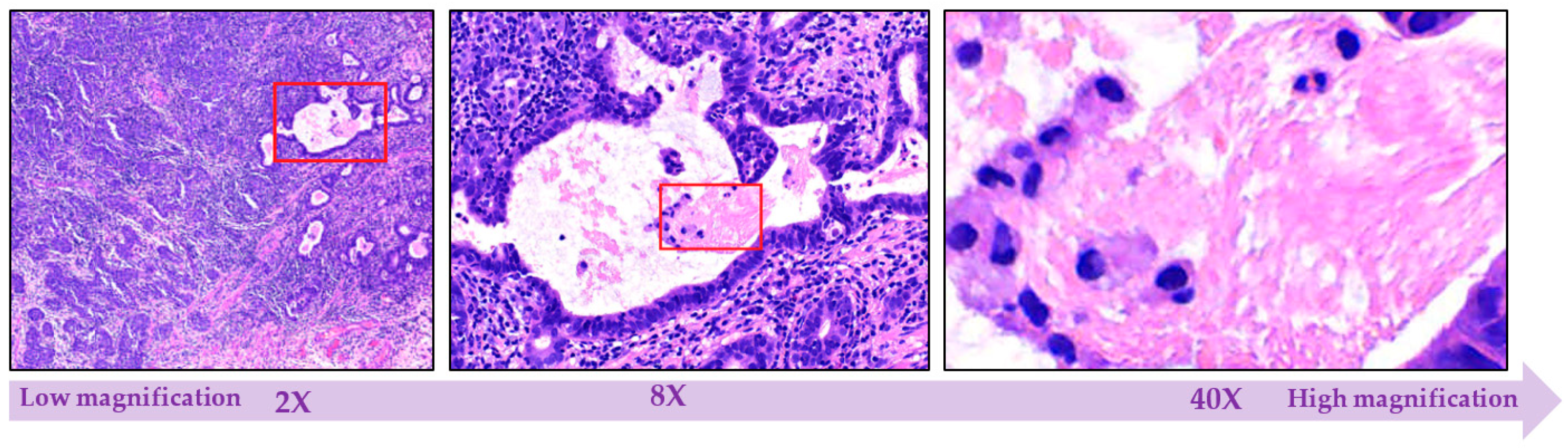 Sensors 21 02586 g005