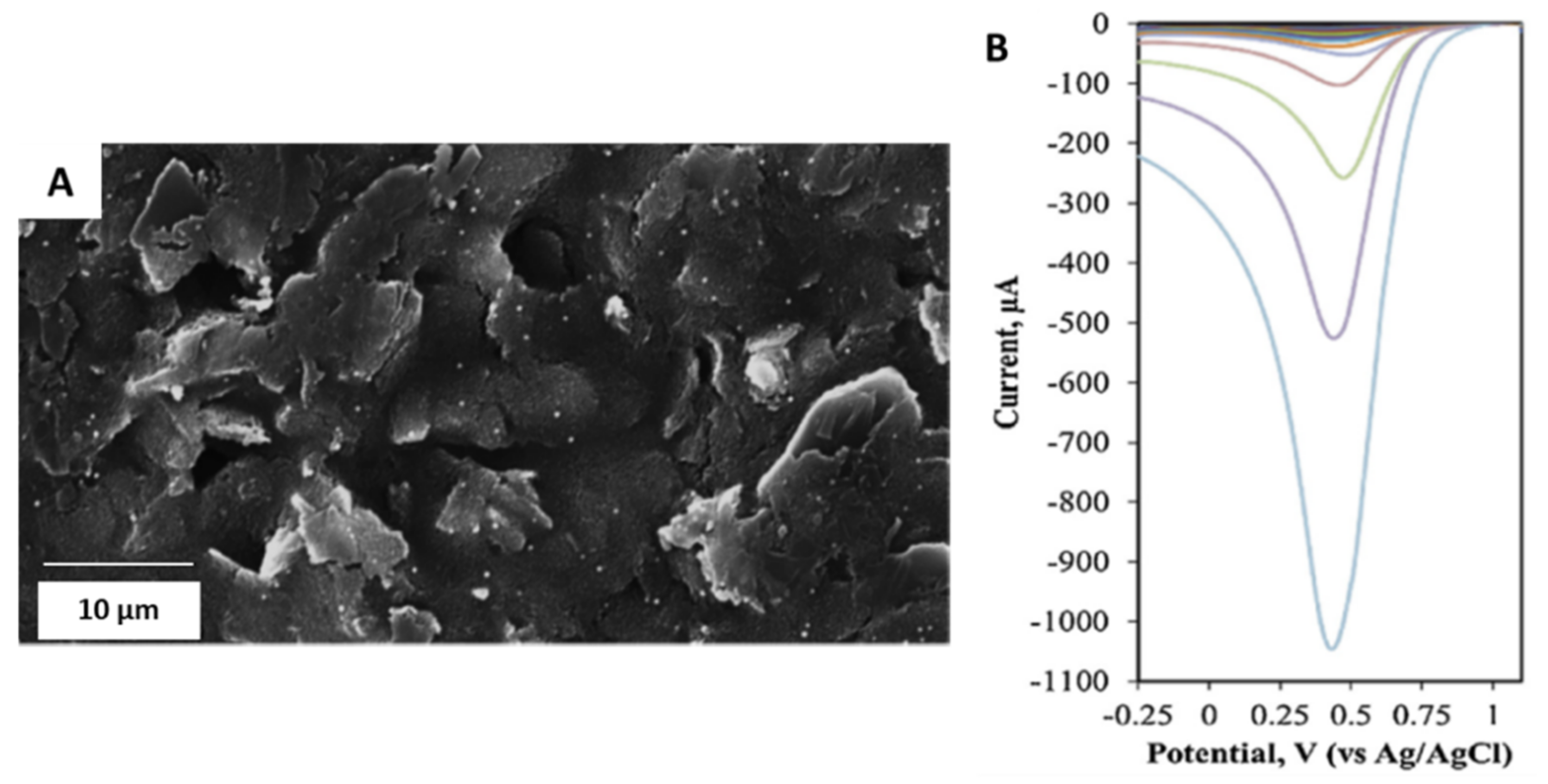 Sensors 21 02596 g003