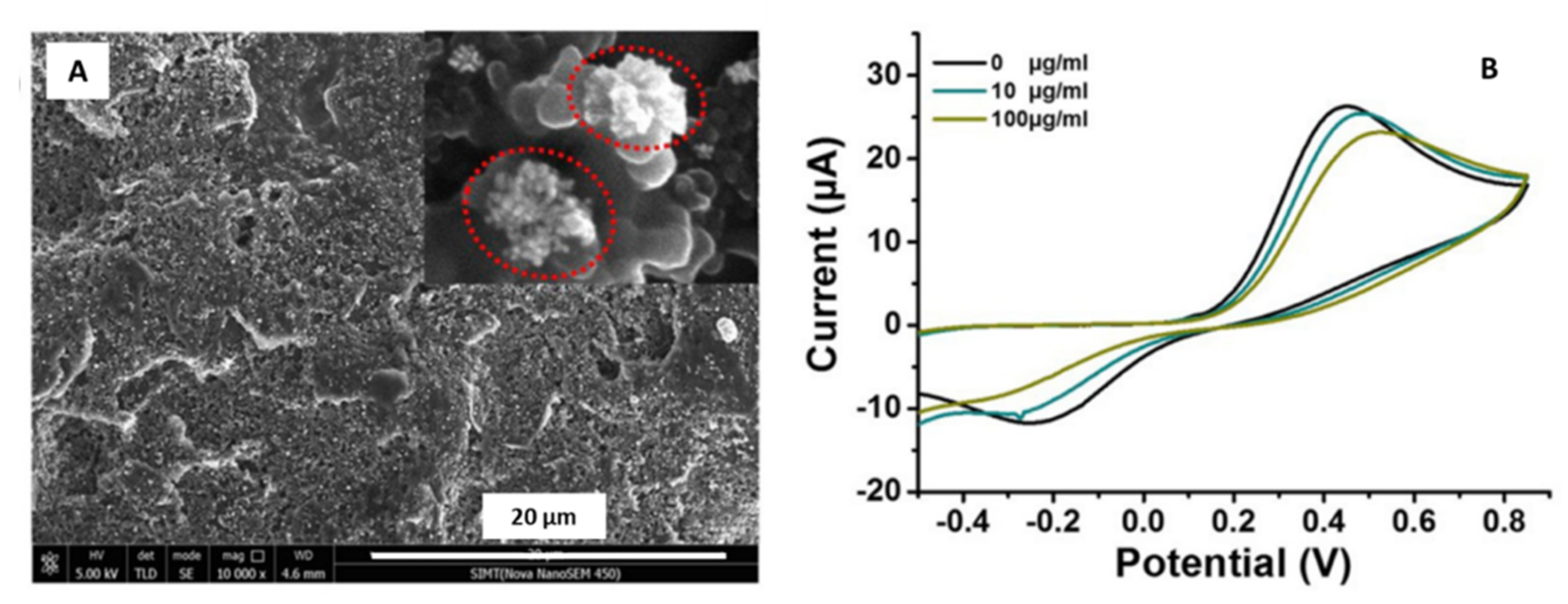 Sensors 21 02596 g008