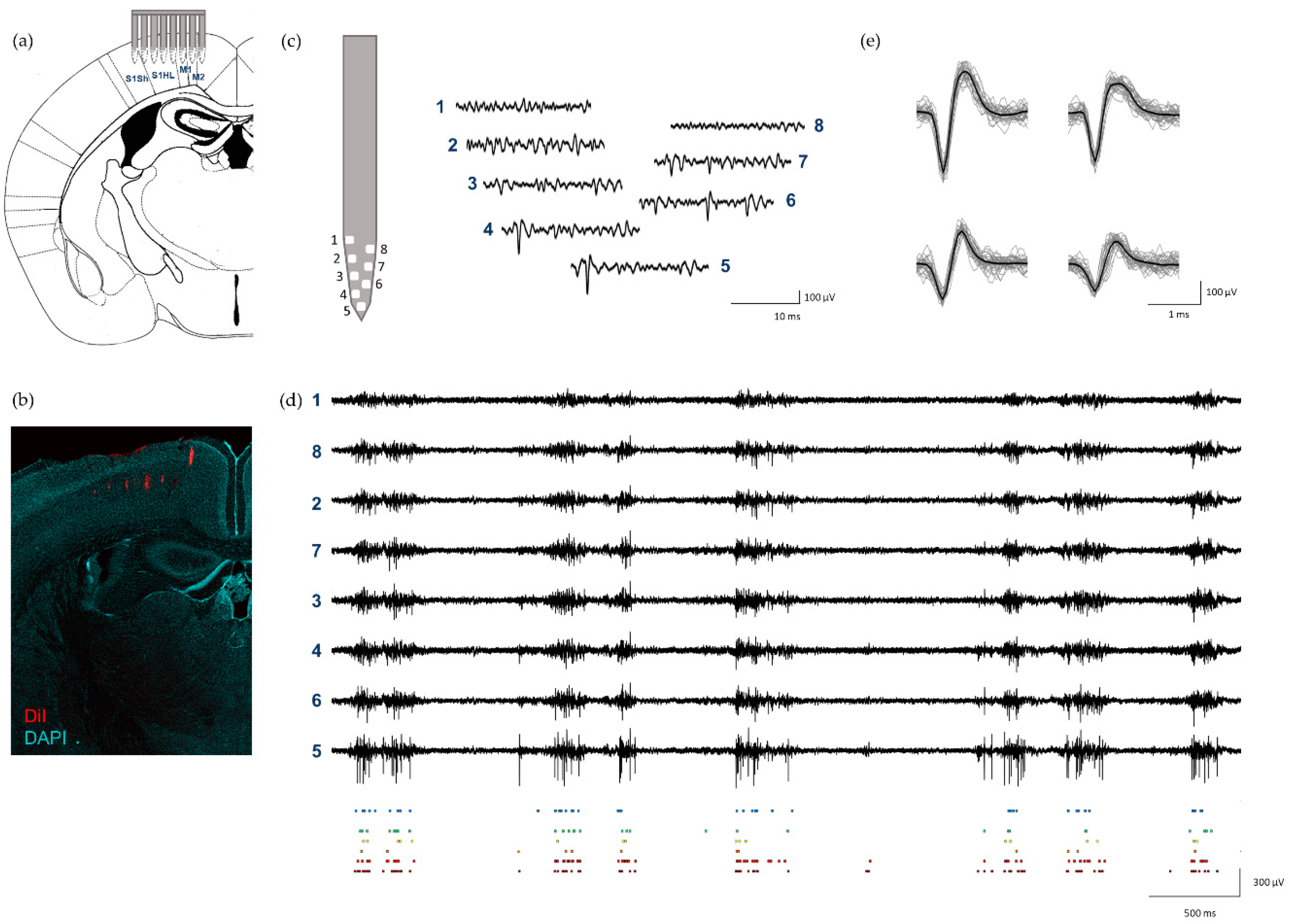 Sensors 21 02605 g004 Sensors 21 02605 g004