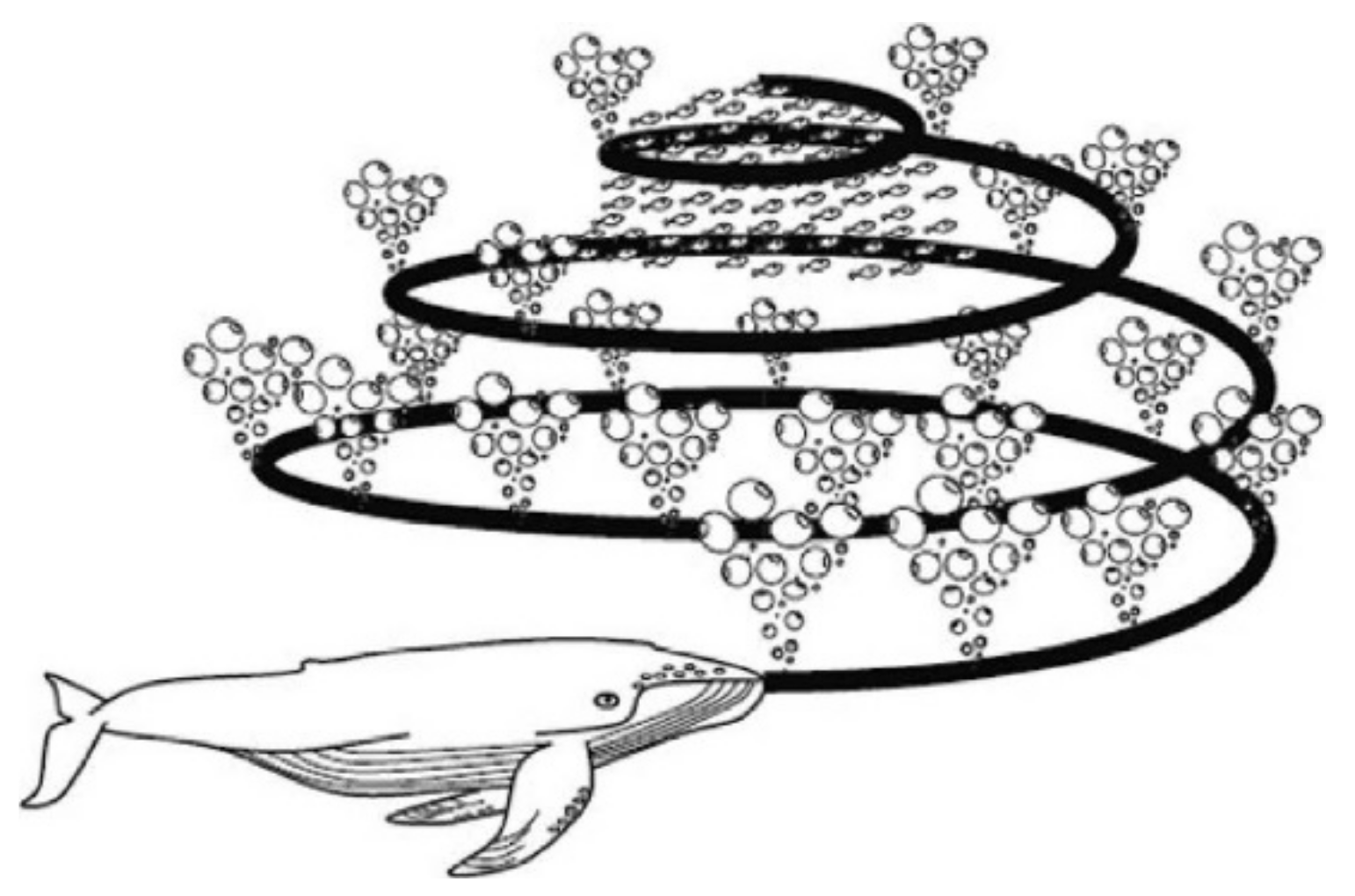 Sensors 21 02628 g001 Sensors 21 02628 g001