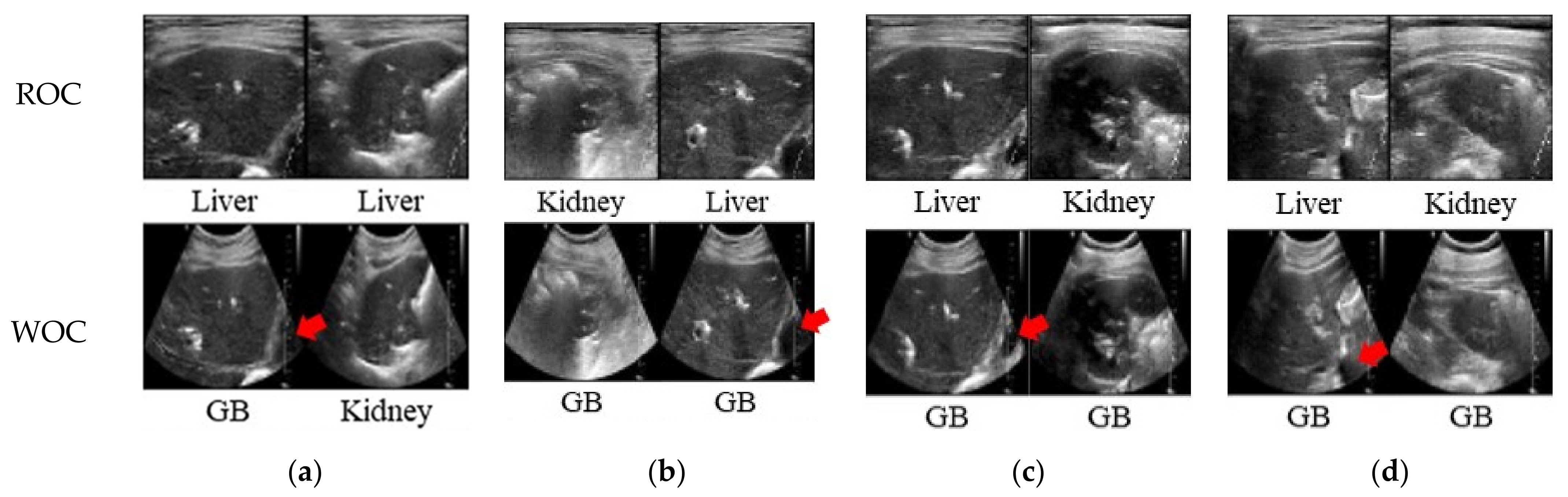 Sensors 21 02629 g008 Sensors 21 02629 g008