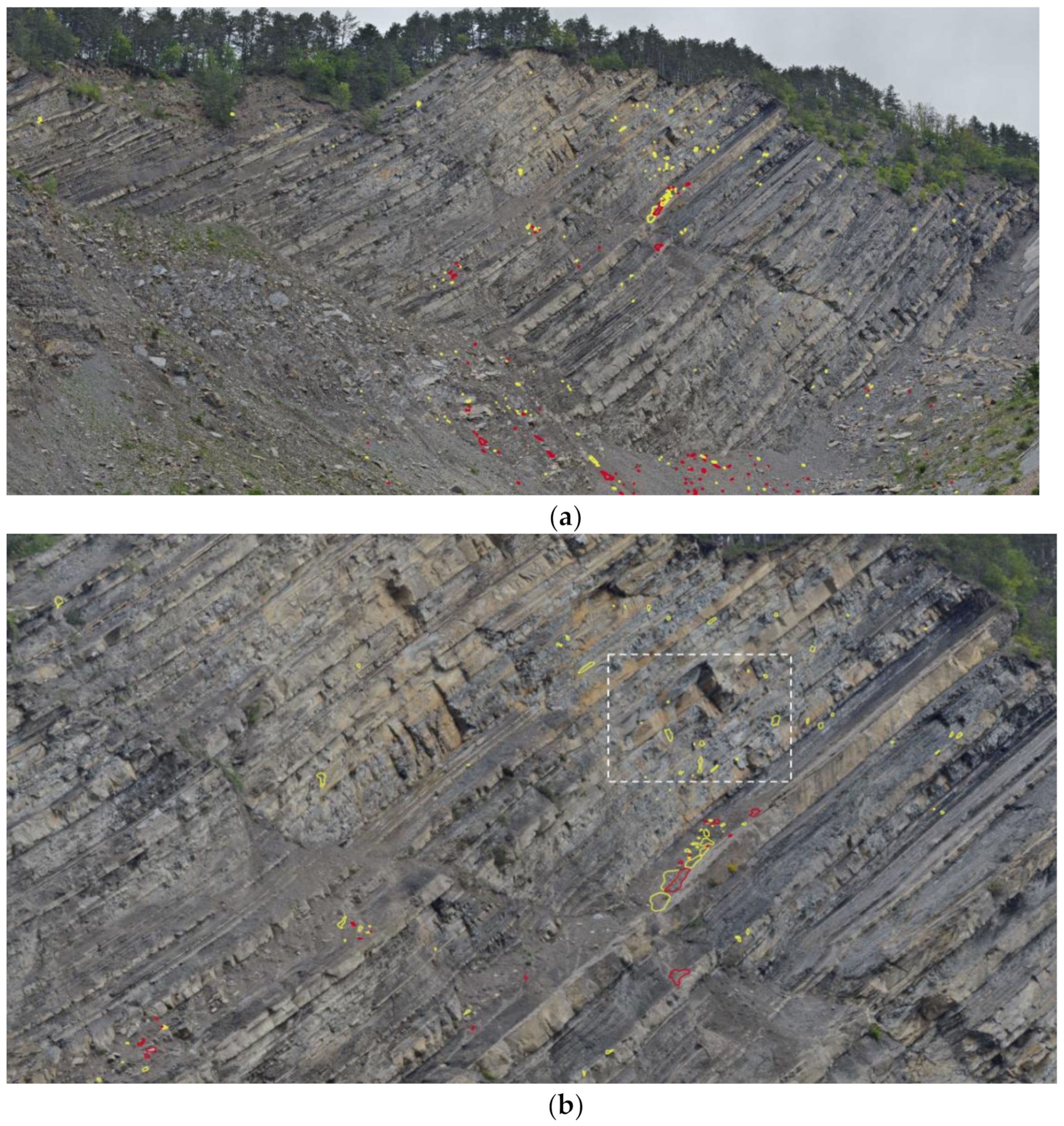 Sensors 21 02632 g007