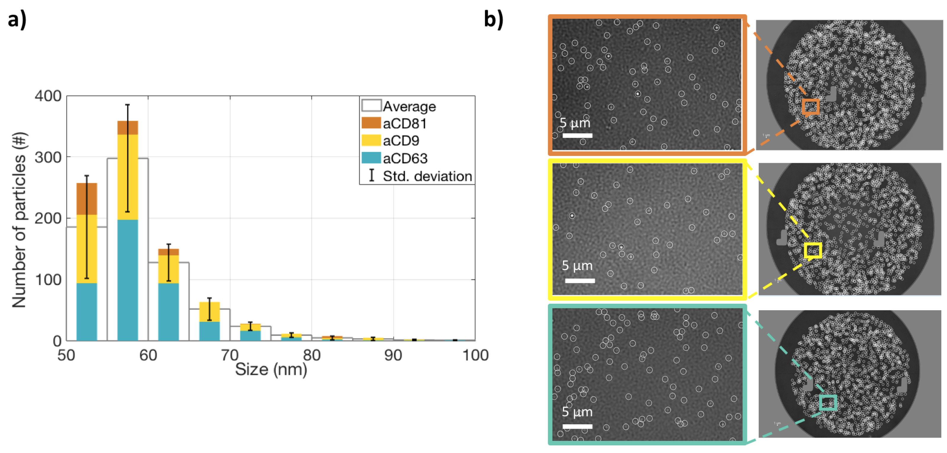 Sensors 21 02634 g001