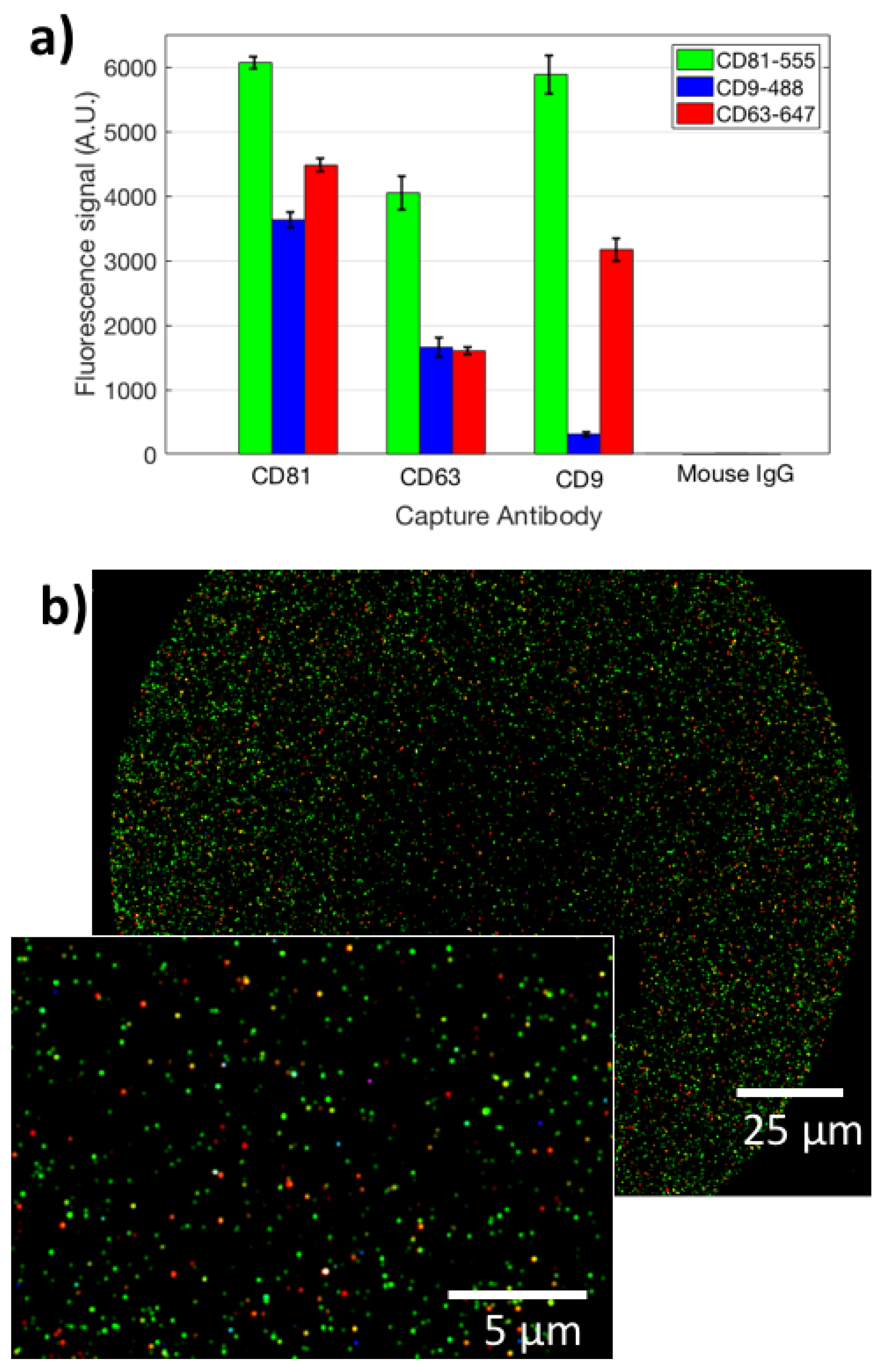 Sensors 21 02634 g002