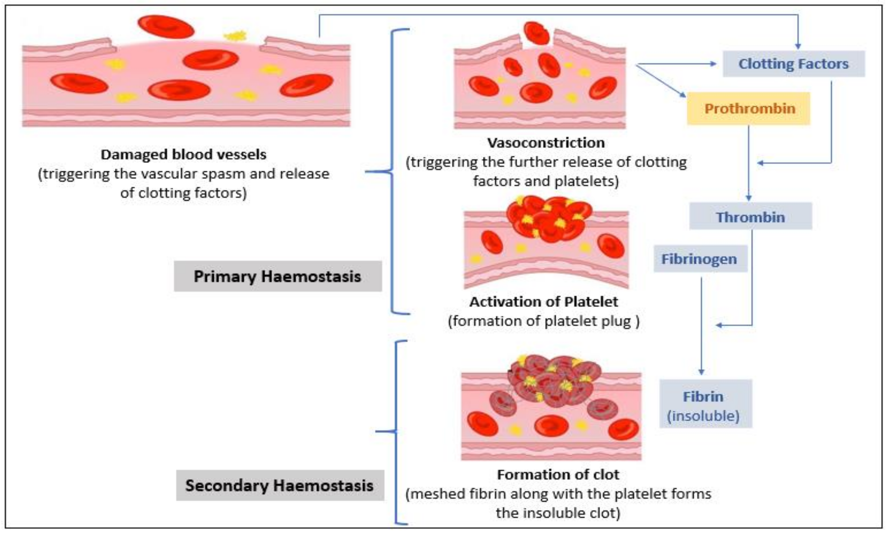 Sensors 21 02636 g002