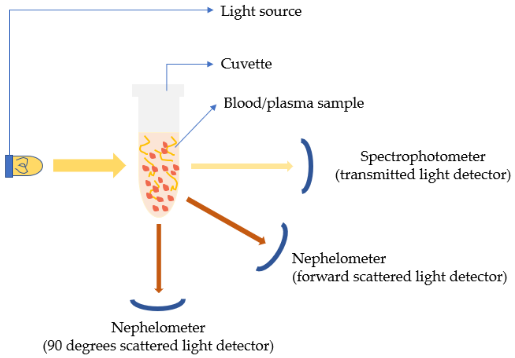 Sensors 21 02636 g006
