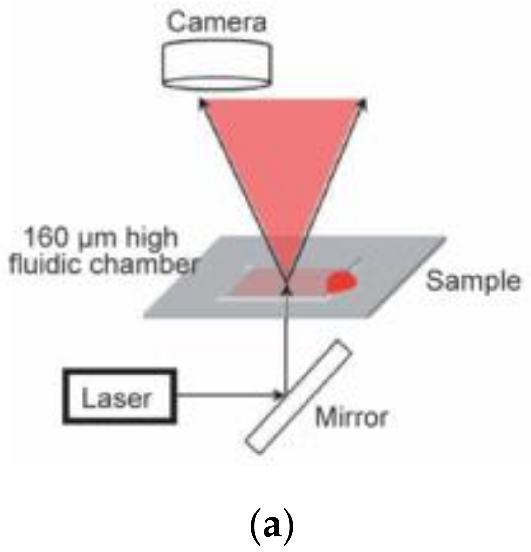Sensors 21 02636 g008a