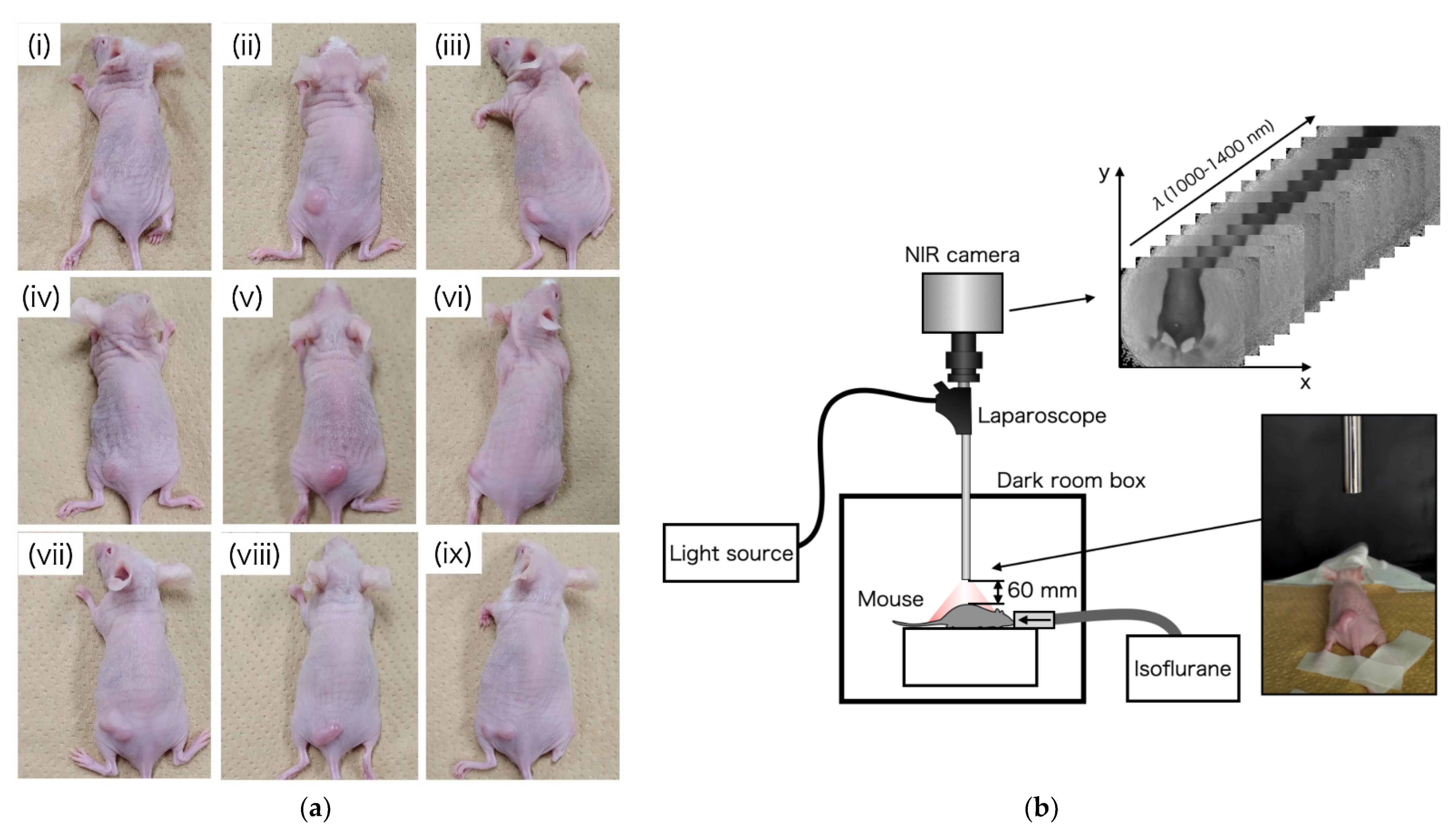Sensors 21 02649 g004