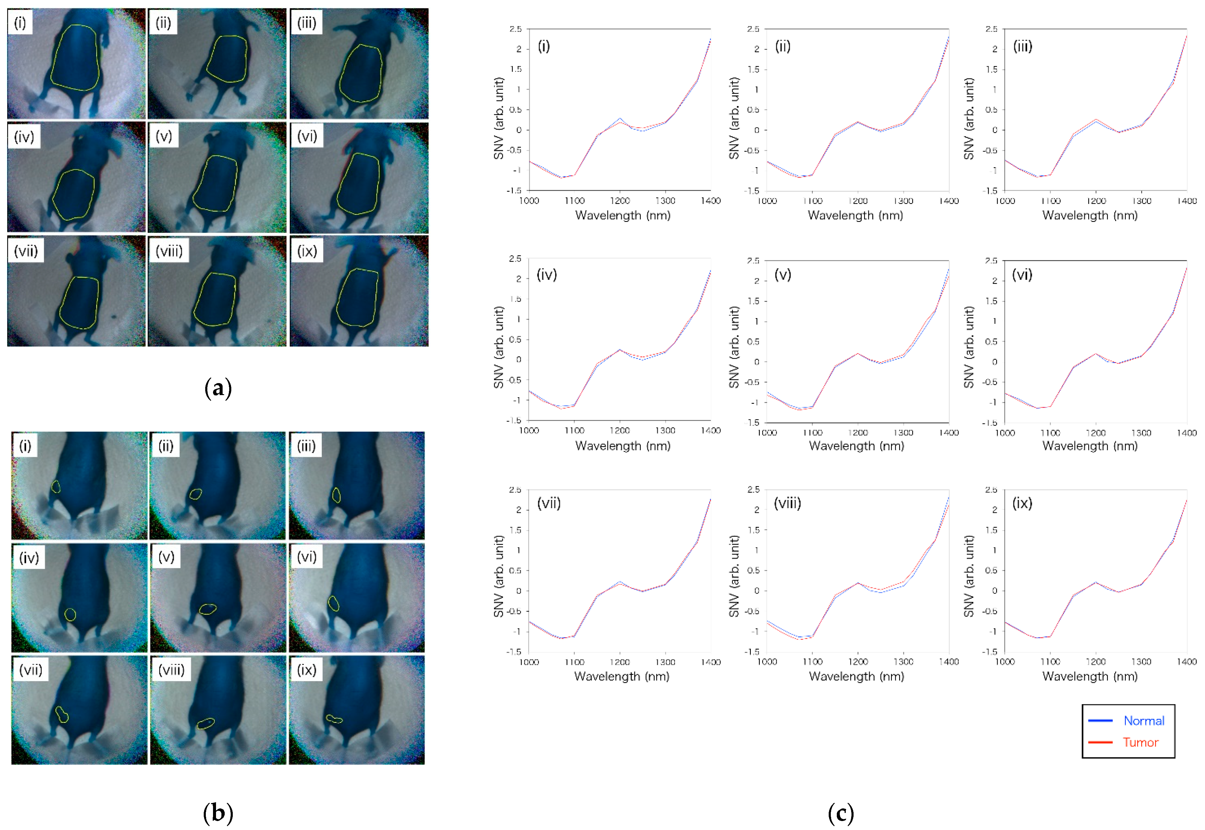 Sensors 21 02649 g008