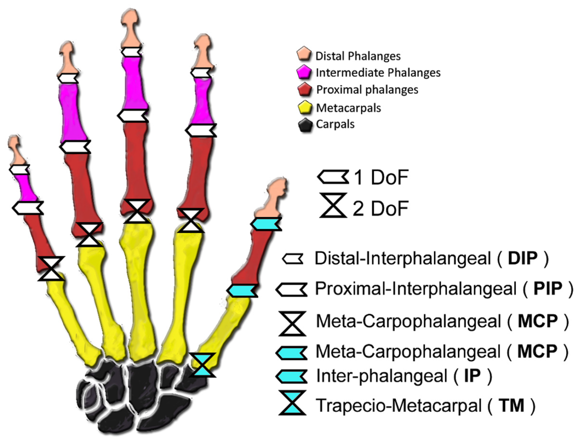 Sensors 21 02667 g001