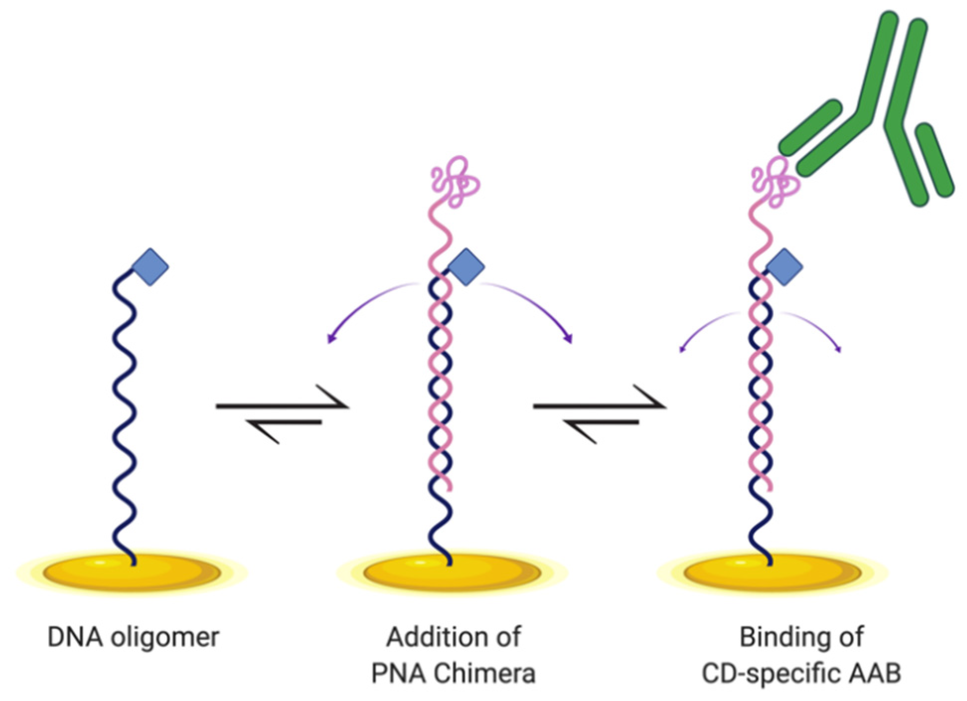 Sensors 21 02671 g001 Sensors 21 02671 g001