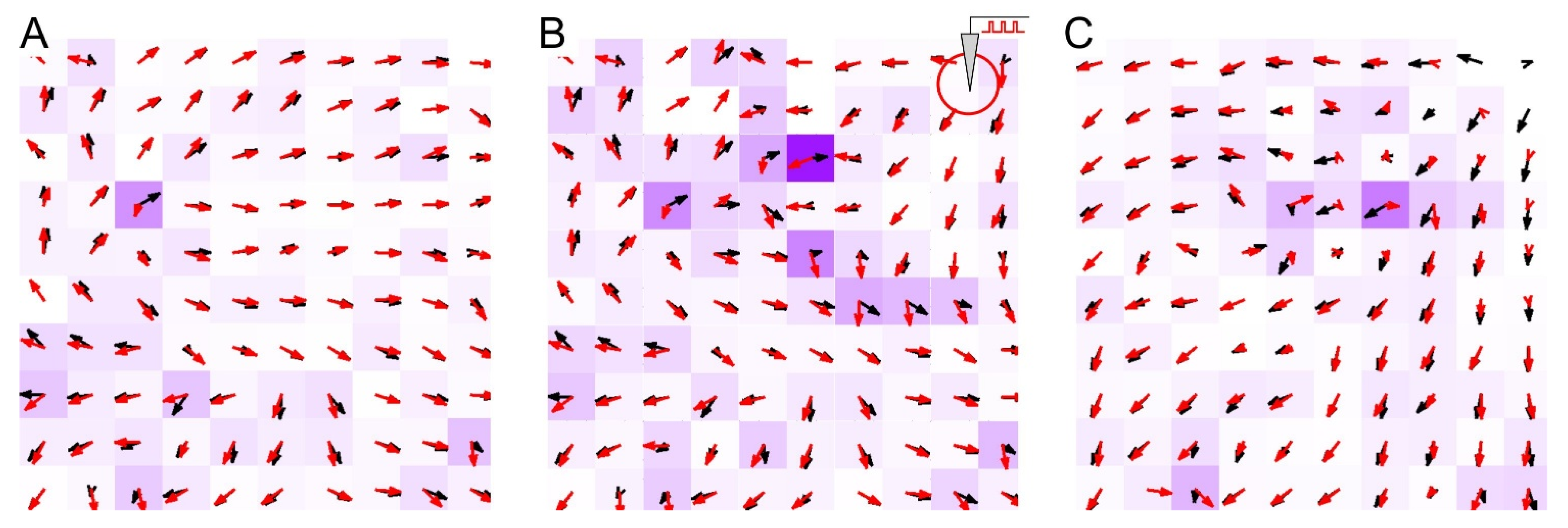 Sensors 21 02678 g003